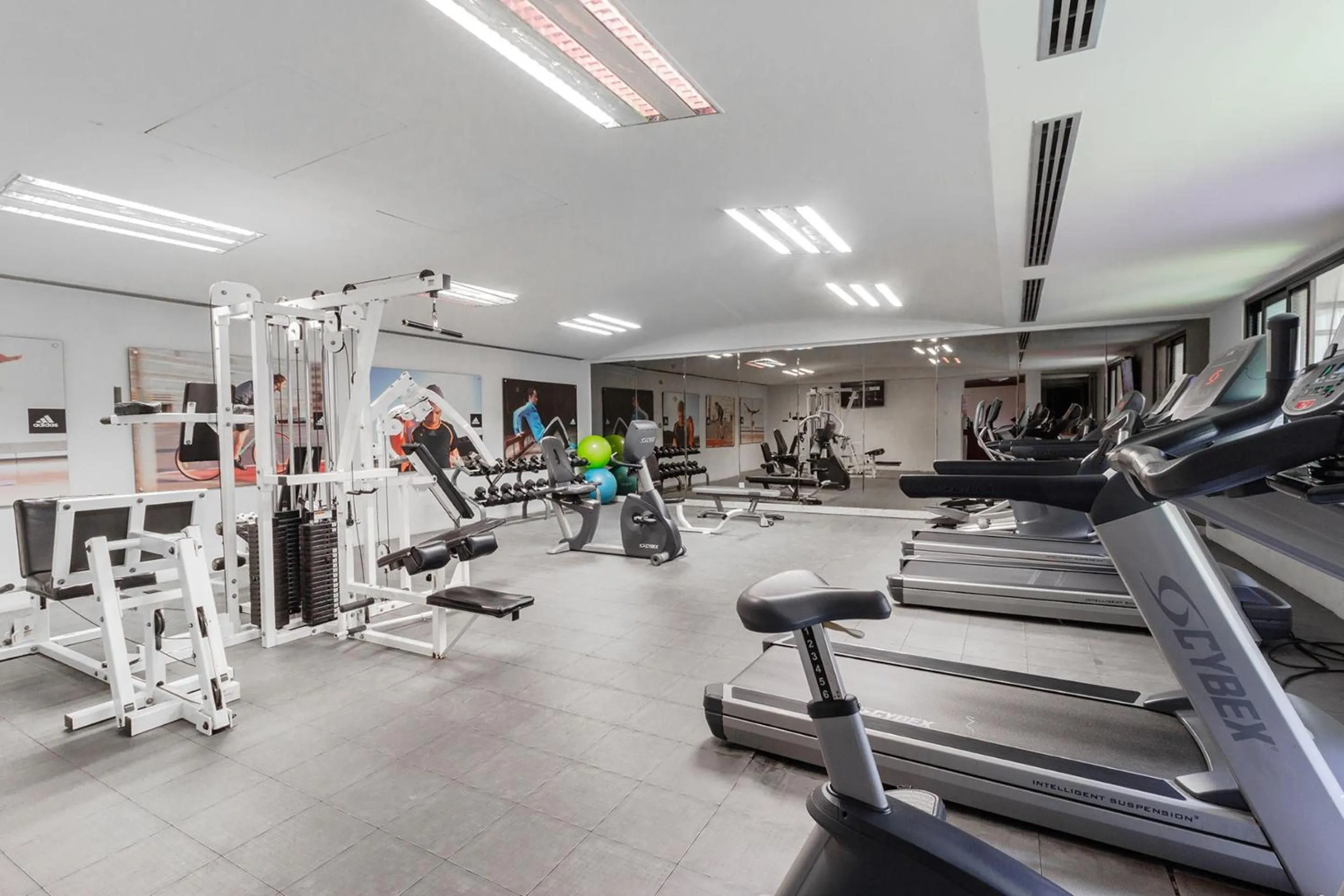Fitness centre/facilities in Camino Real Guadalajara