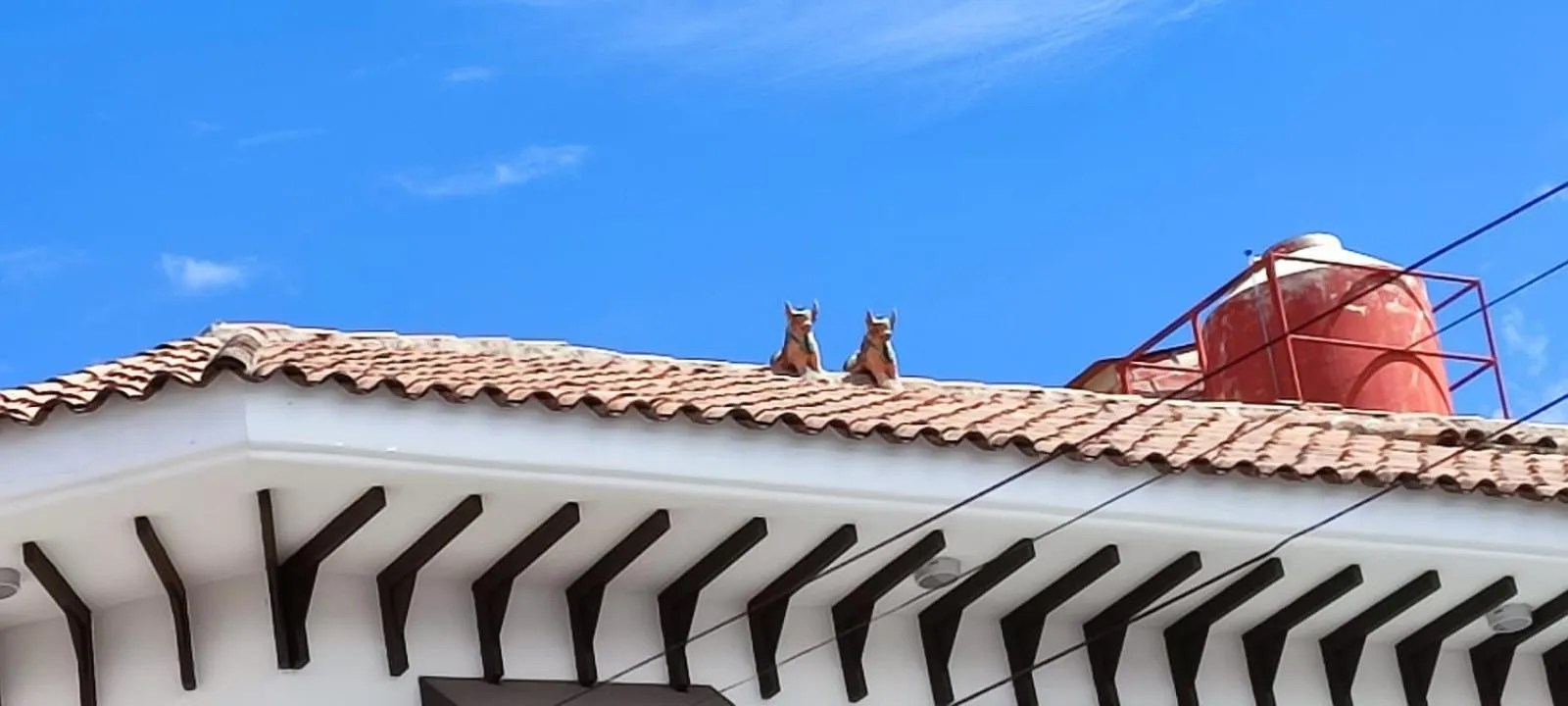 Off site in Elsa Wasi Cusco