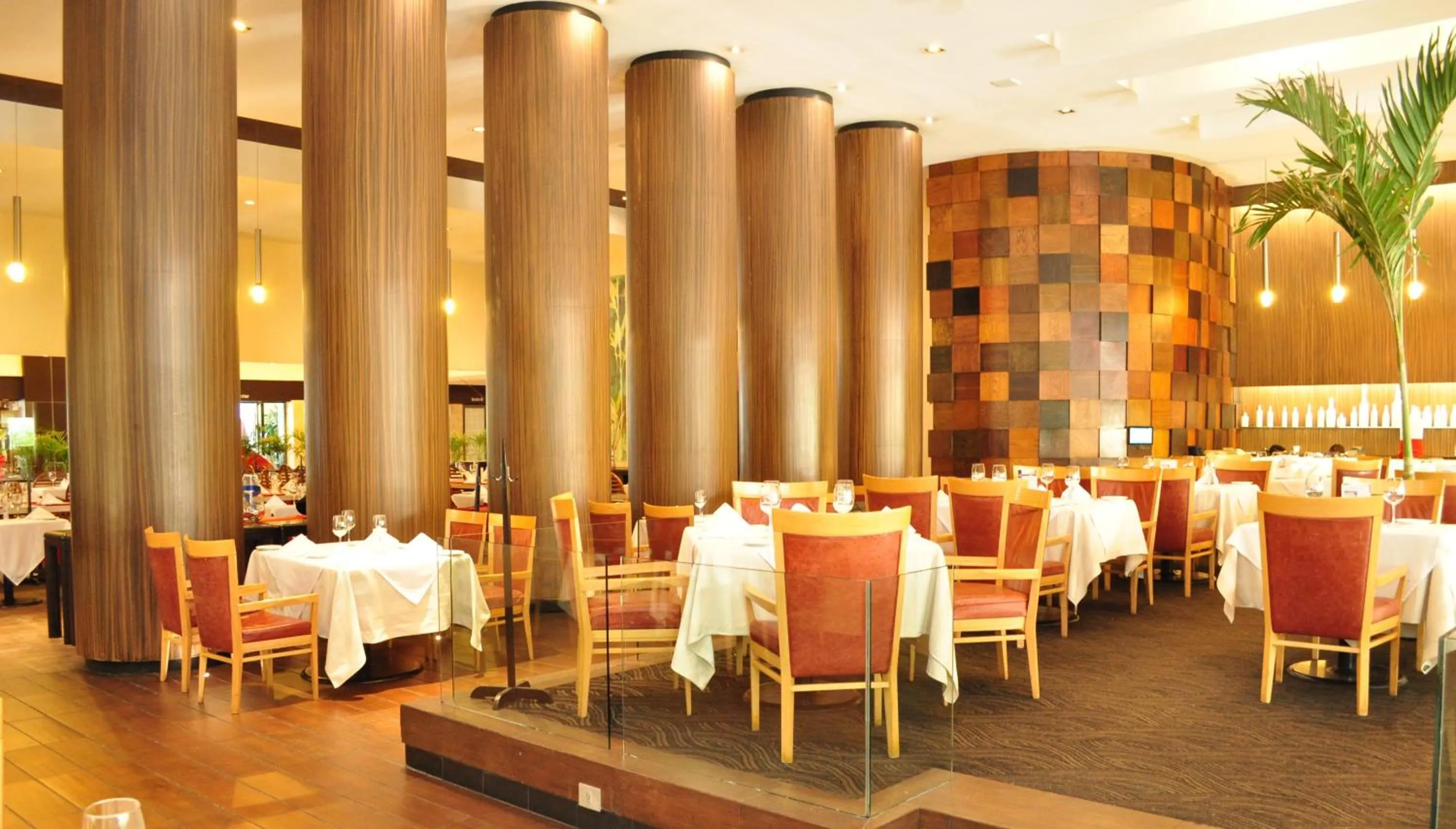 Restaurant/places to eat in Royal Pedregal