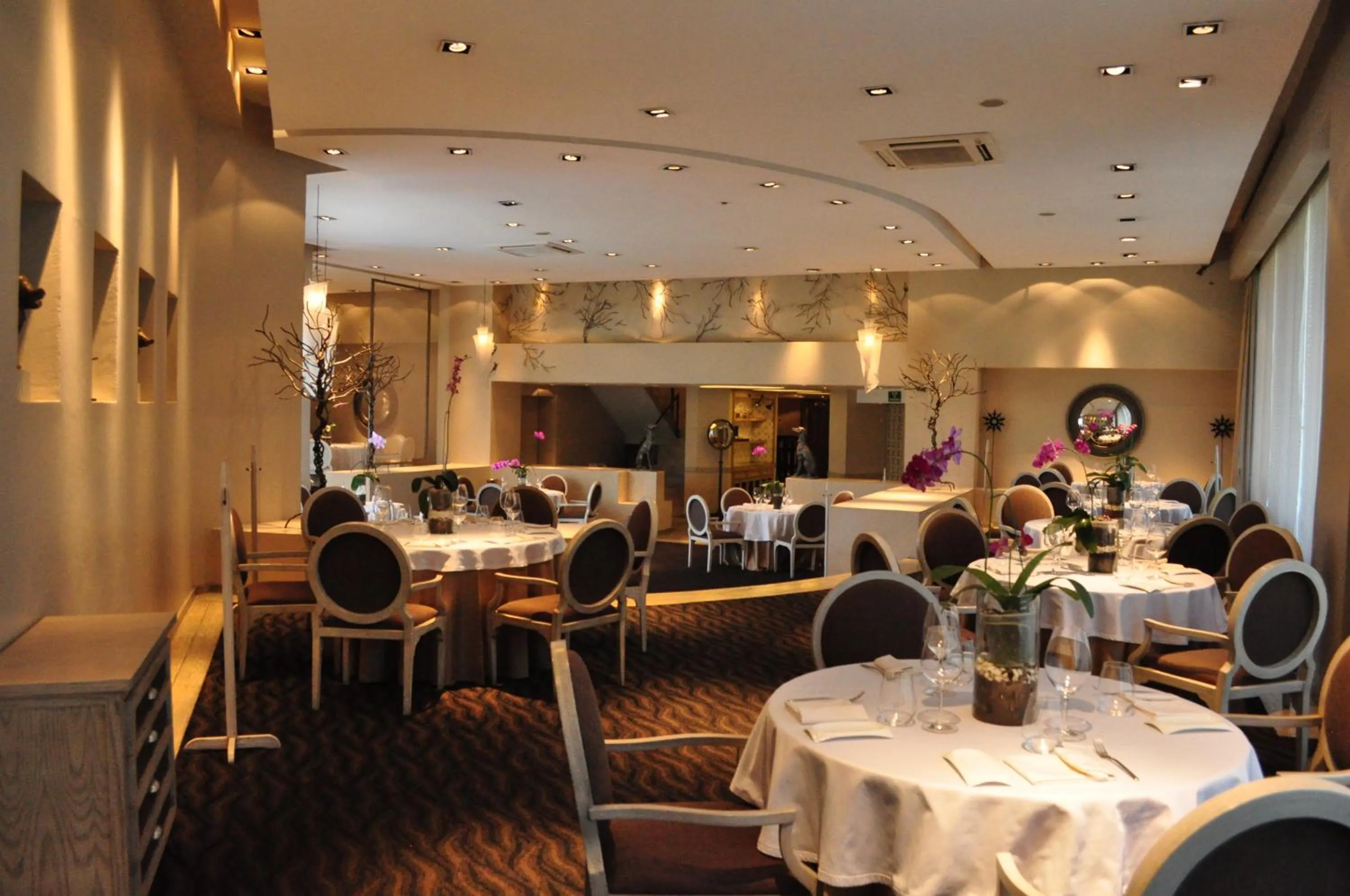 Restaurant/places to eat in Royal Pedregal