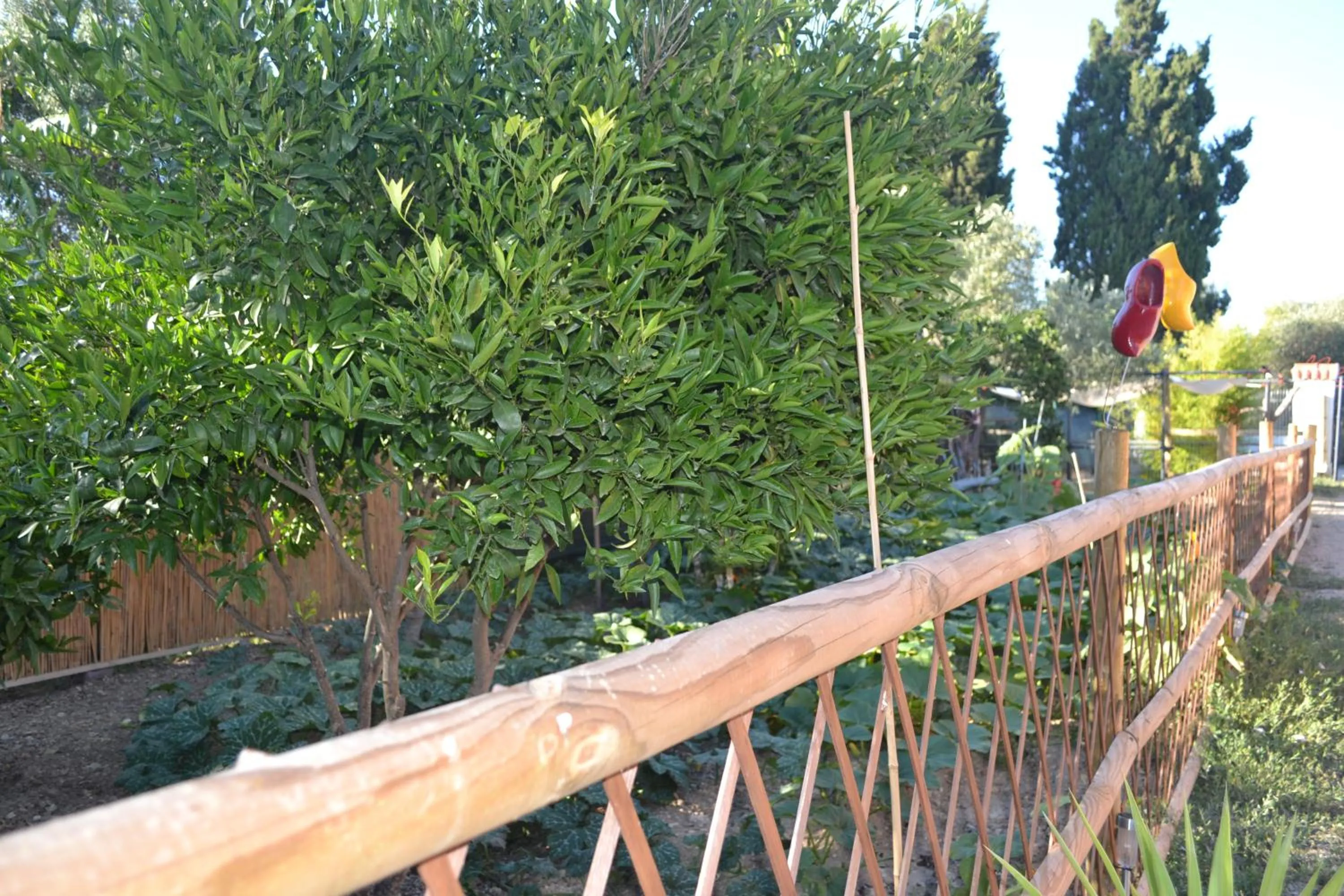 Garden in B&B l'Antropologo