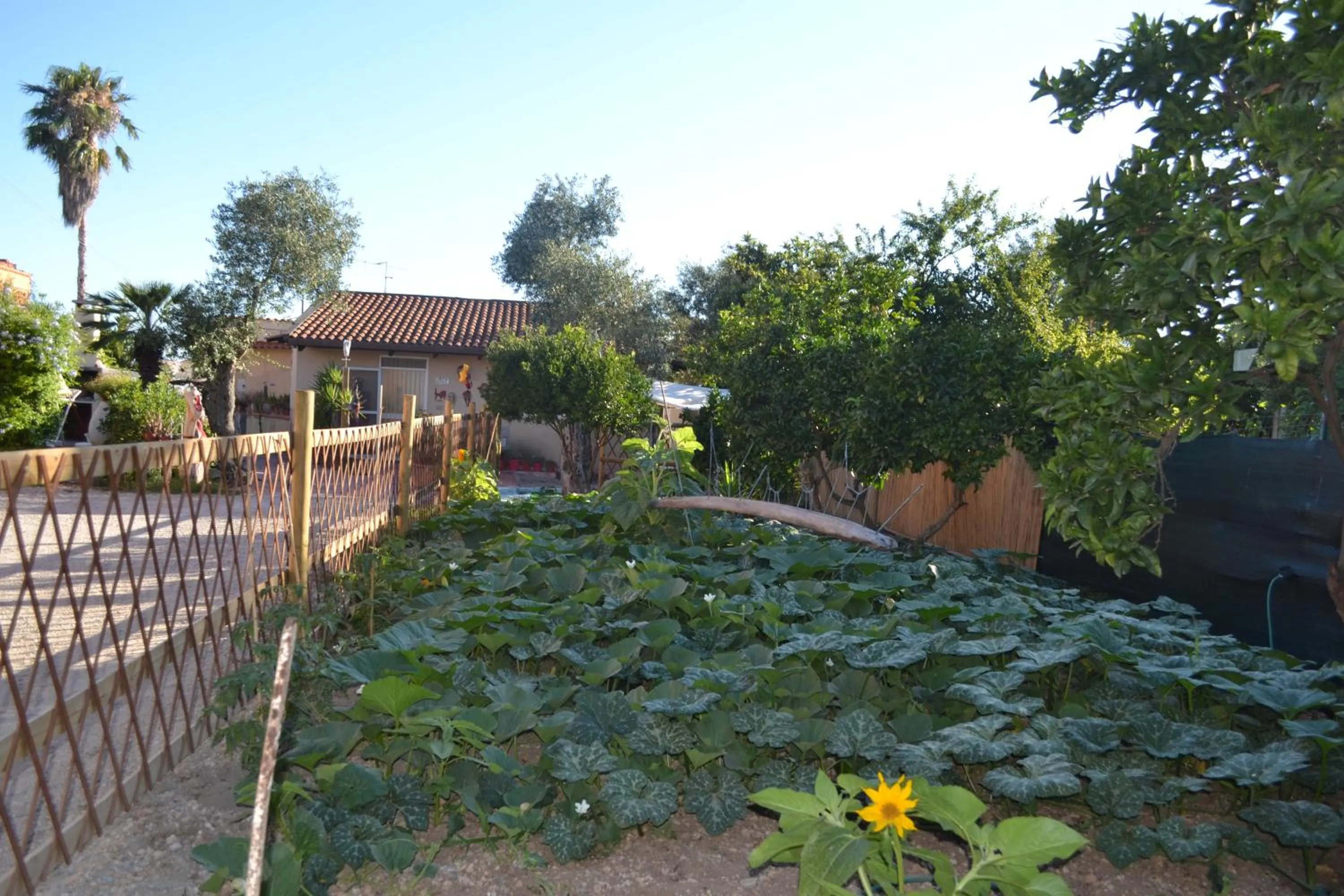 Garden in B&B l'Antropologo