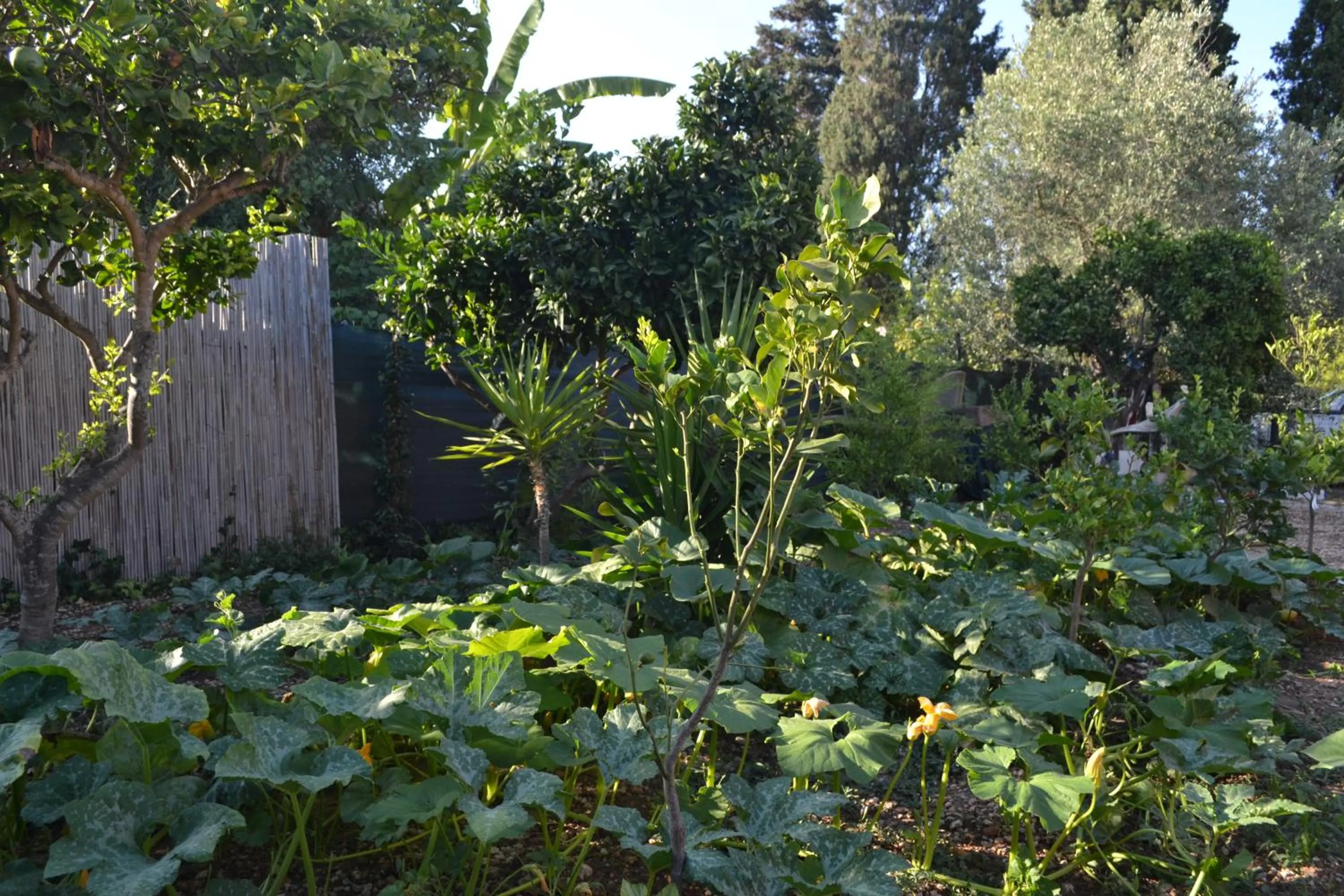 Garden in B&B l'Antropologo
