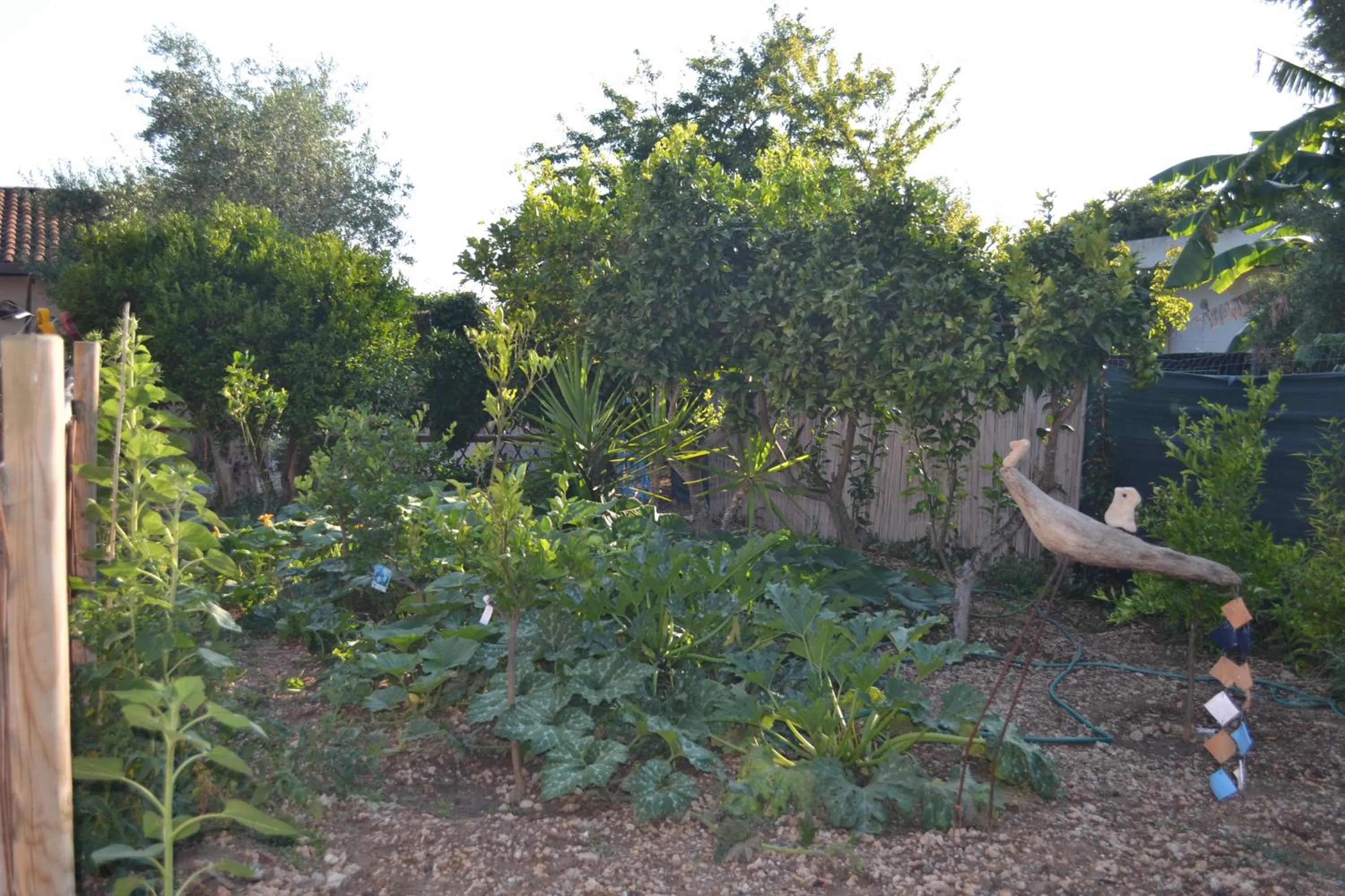 Floor plan in B&B l'Antropologo