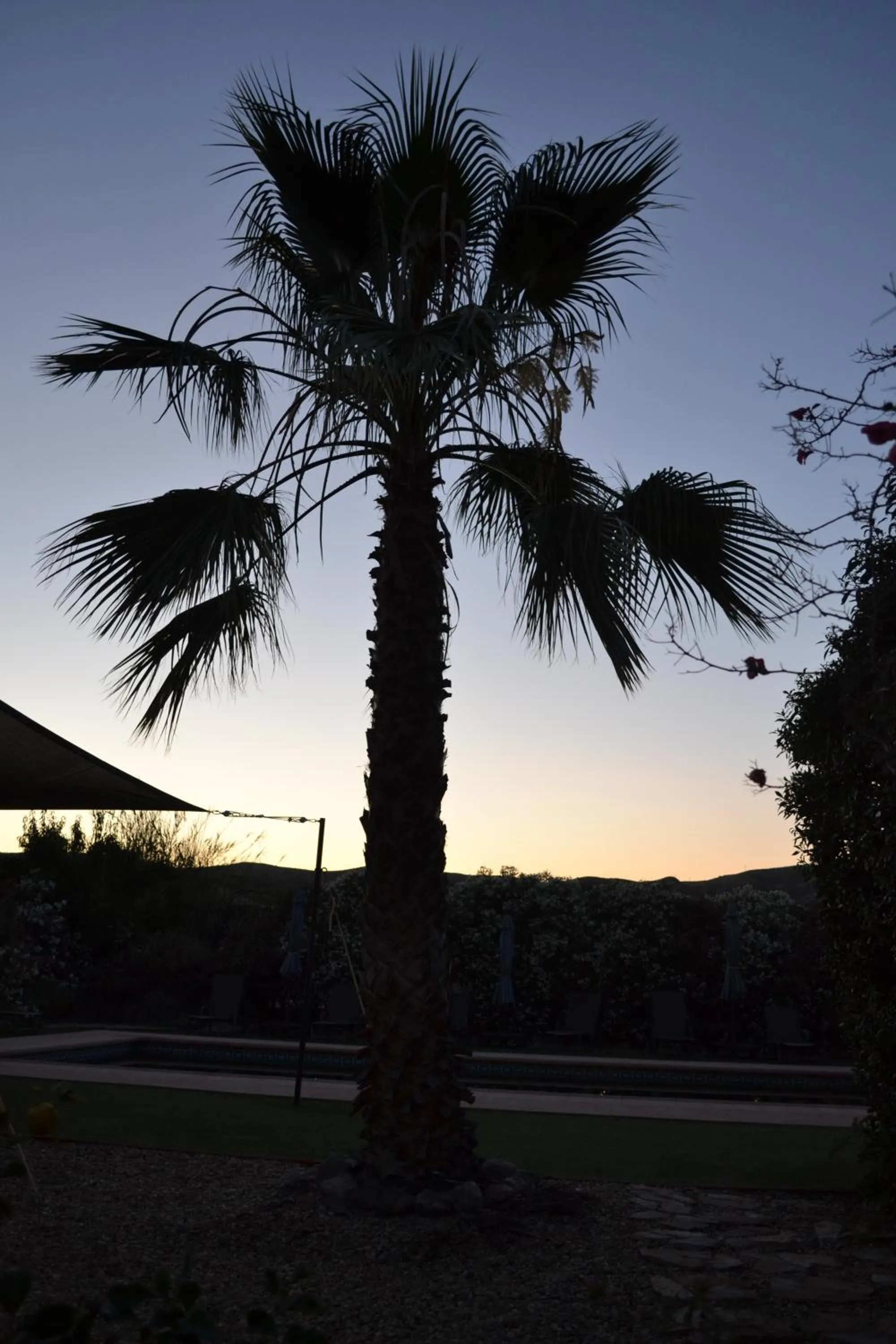 View (from property/room) in Mas Solana