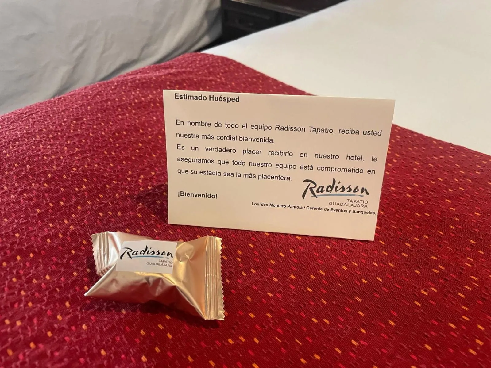 Decorative detail in Radisson Hotel Tapatio Guadalajara Aeropuerto