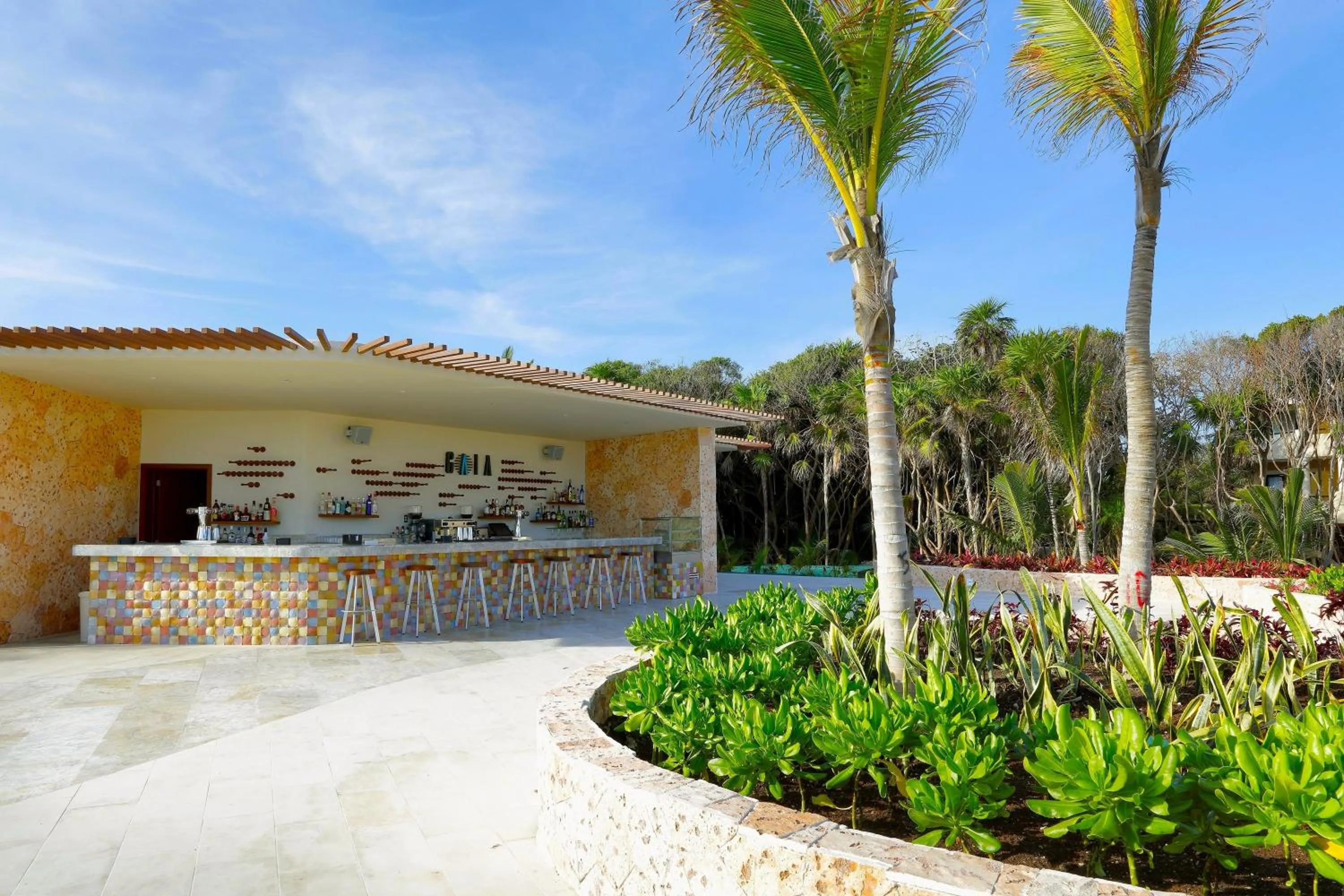 Lounge or bar in TRS Yucatan Hotel - Adults Only