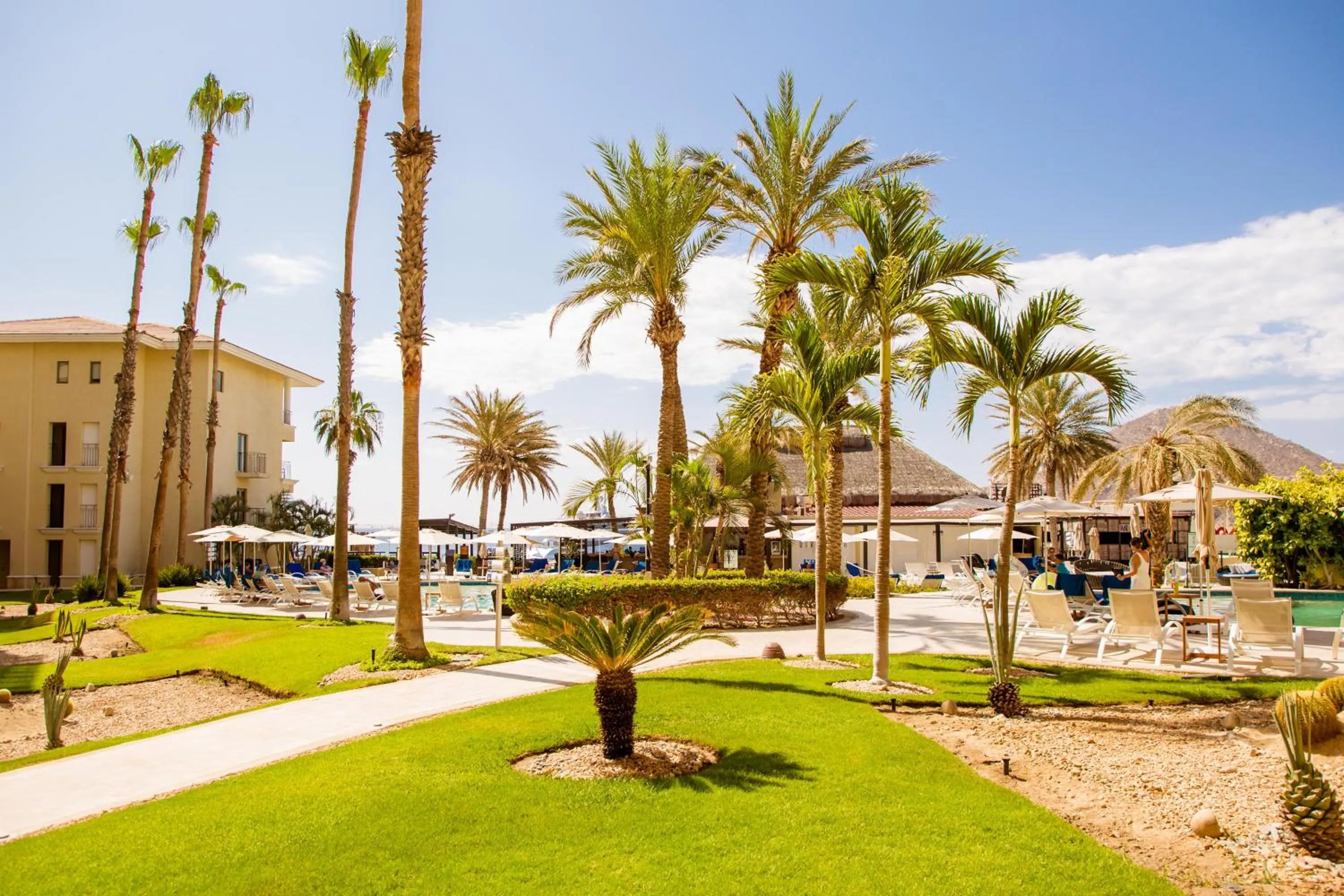 View (from property/room) in Casa Dorada Los Cabos Resort & Spa