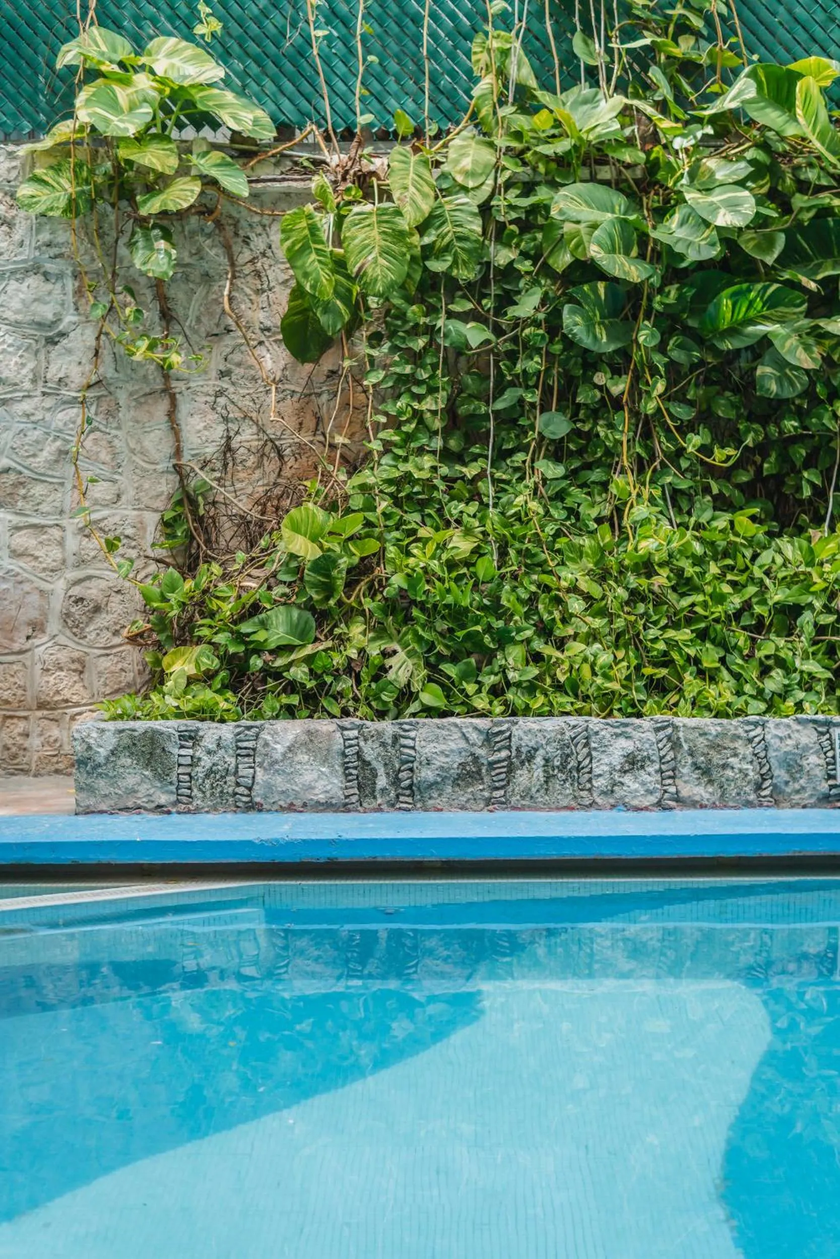 Swimming pool in Hotel Plaza Kokai Cancún