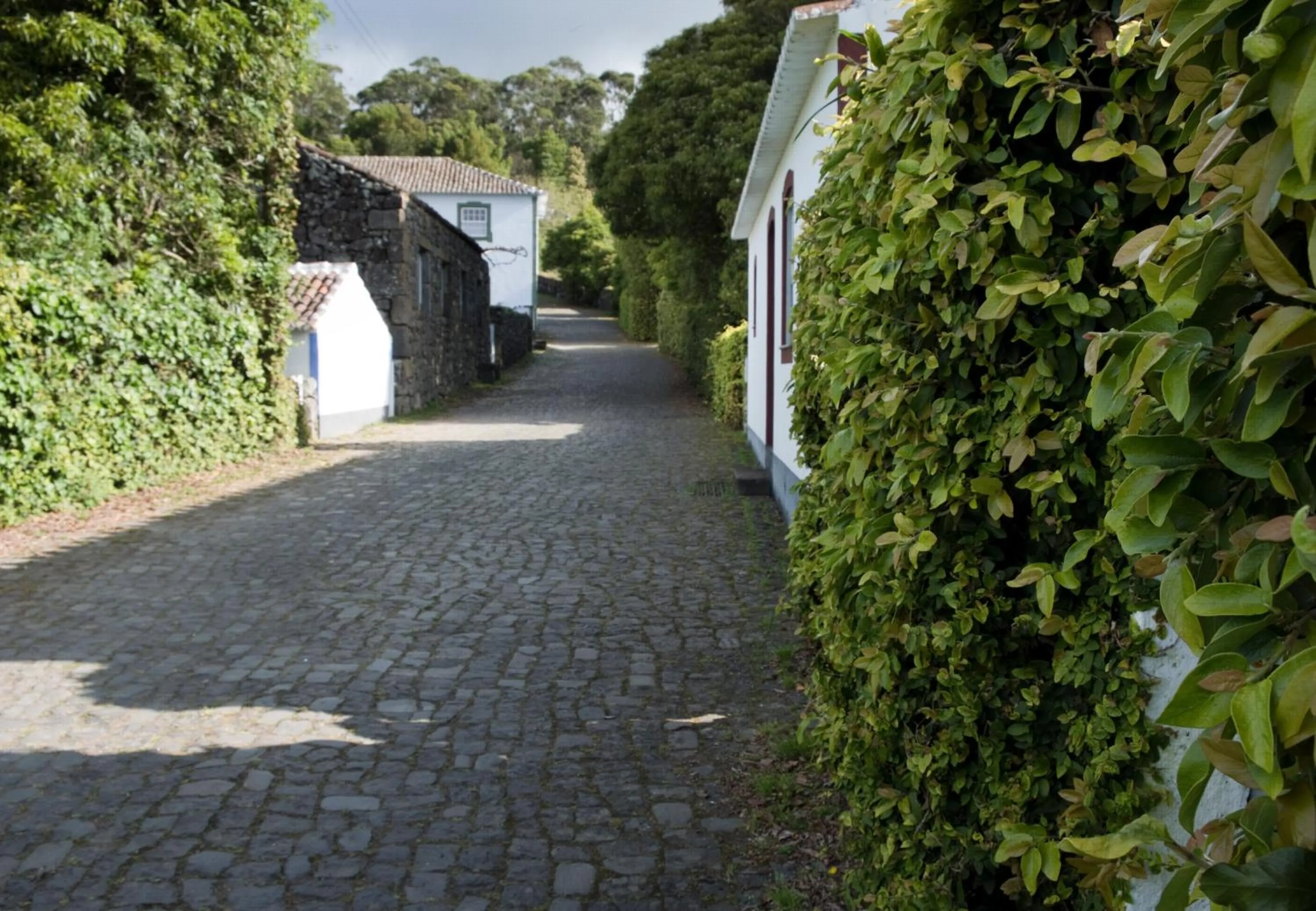 Other in Quinta Do Martelo