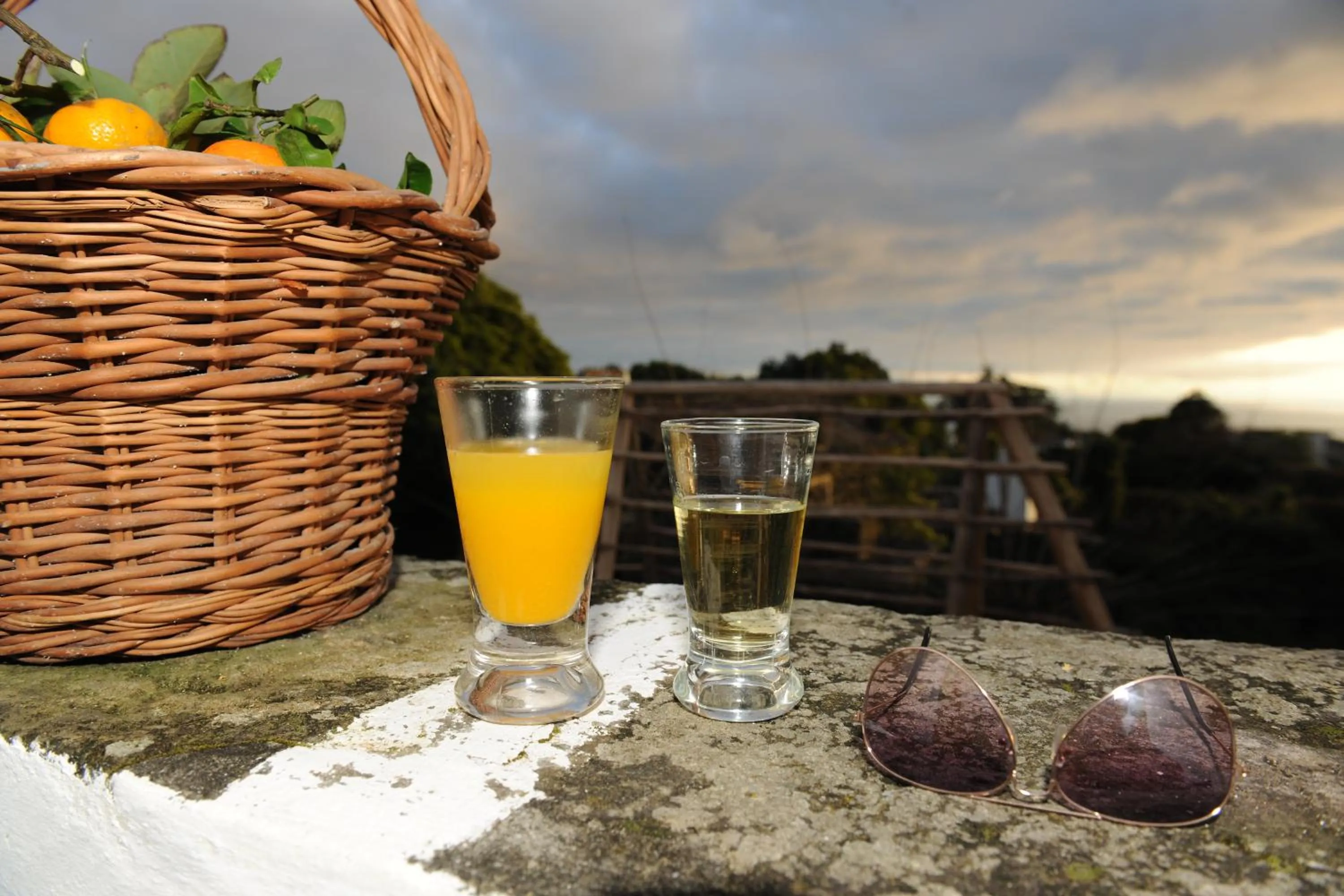 Garden in Quinta Do Martelo