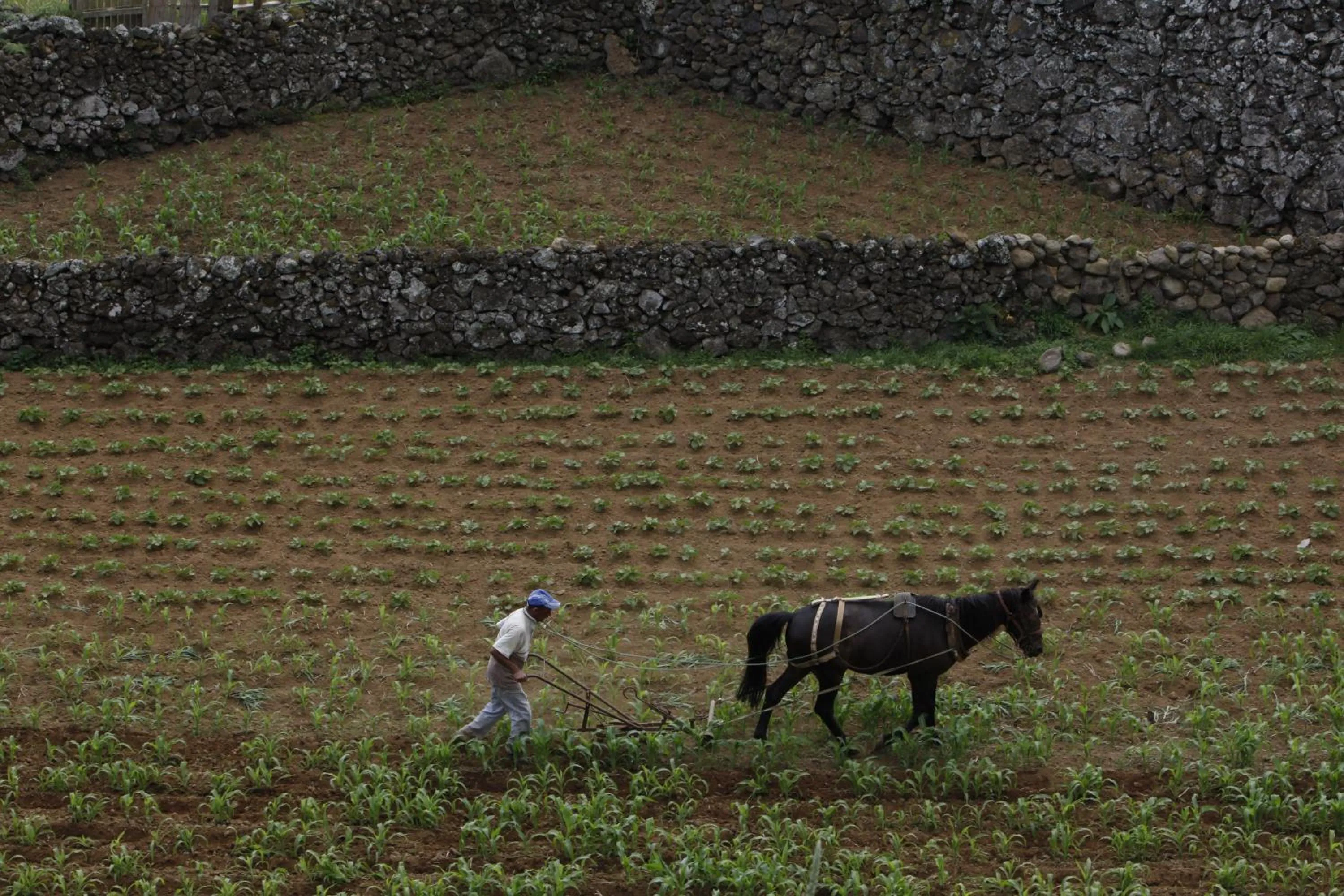 Staff in Quinta Do Martelo