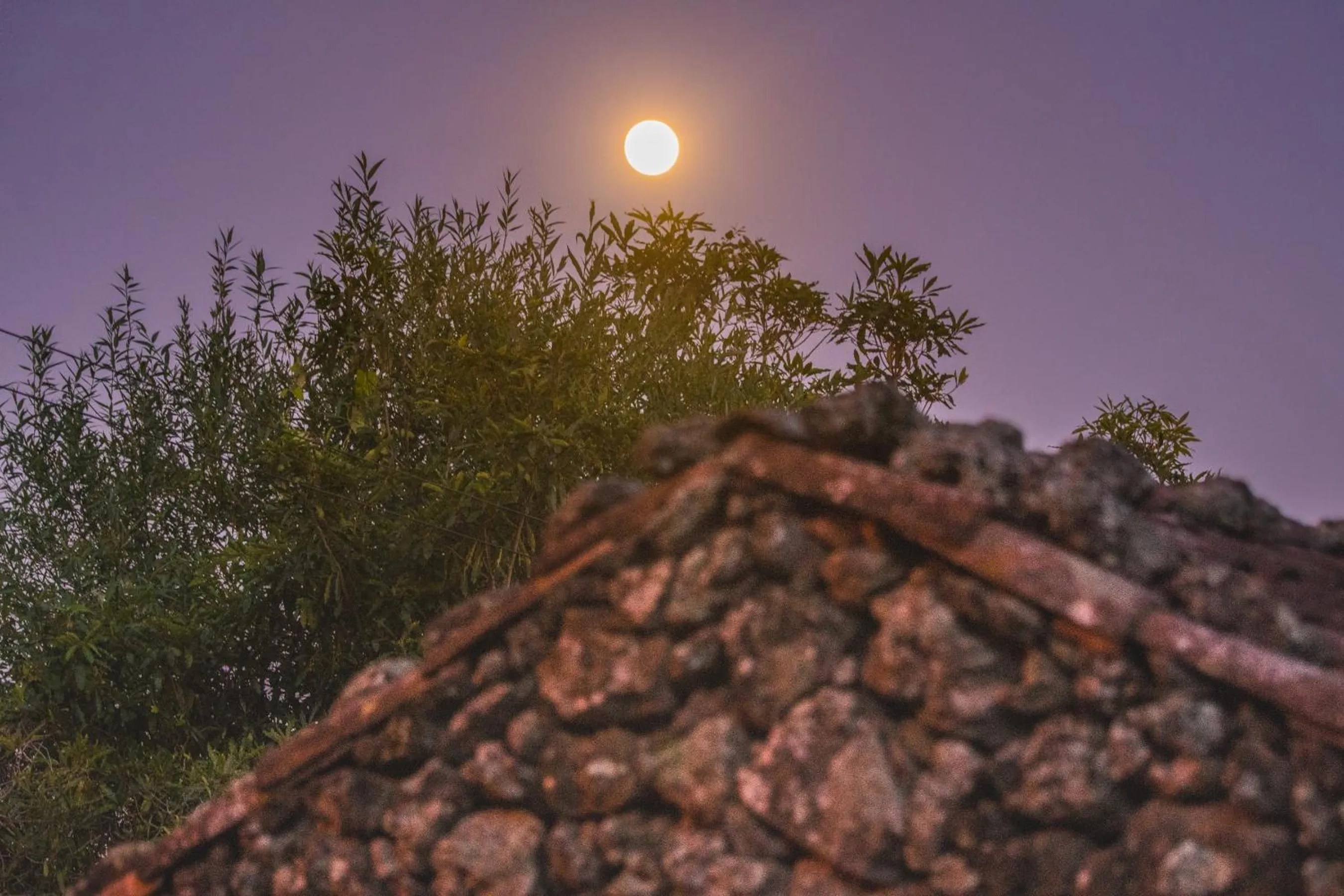 Natural landscape in Quinta Do Martelo