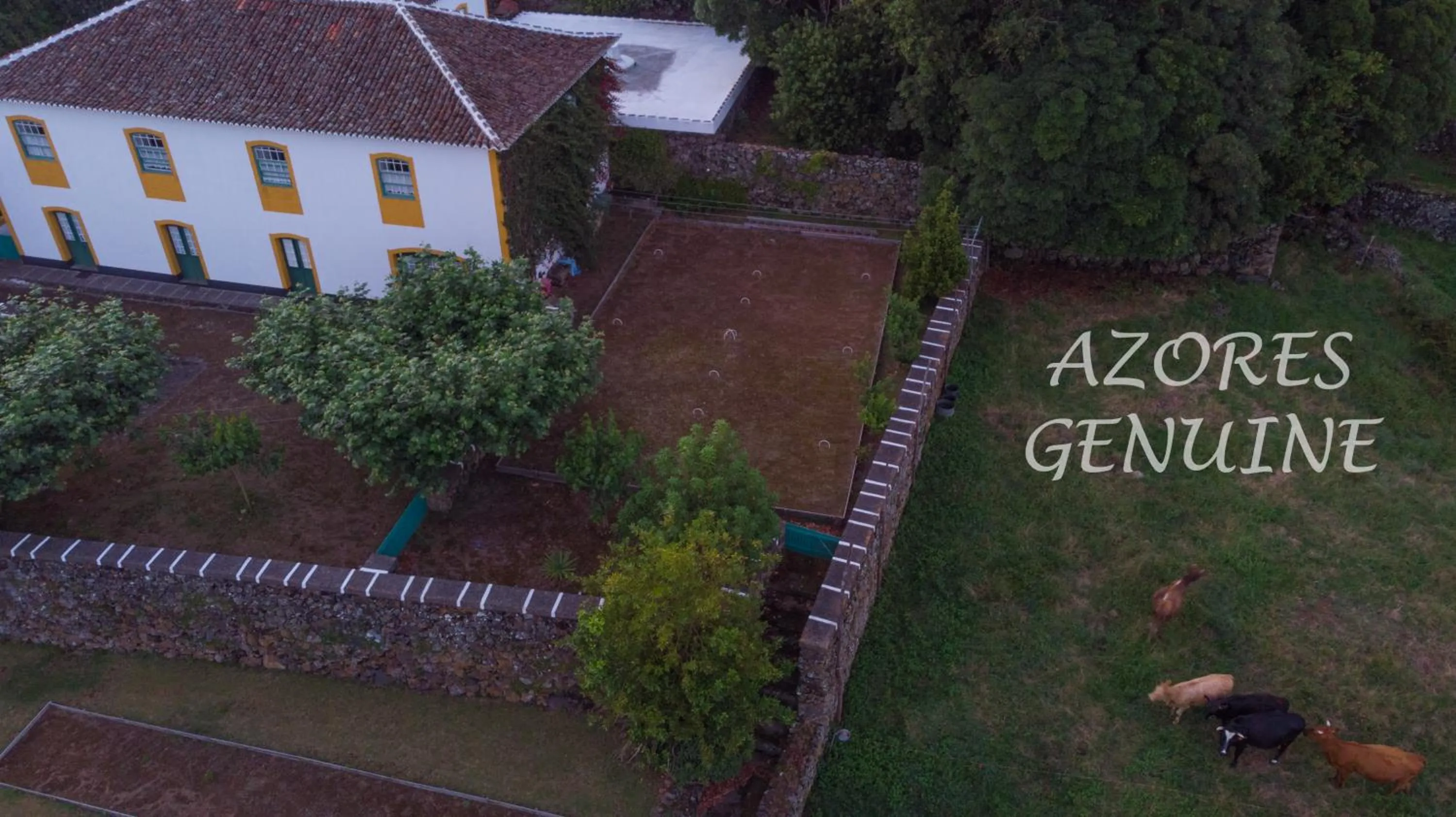 Bird's eye view in Quinta Do Martelo