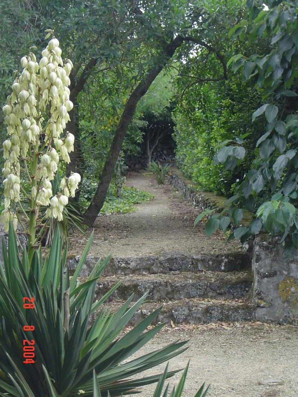 Garden in Quinta Do Martelo