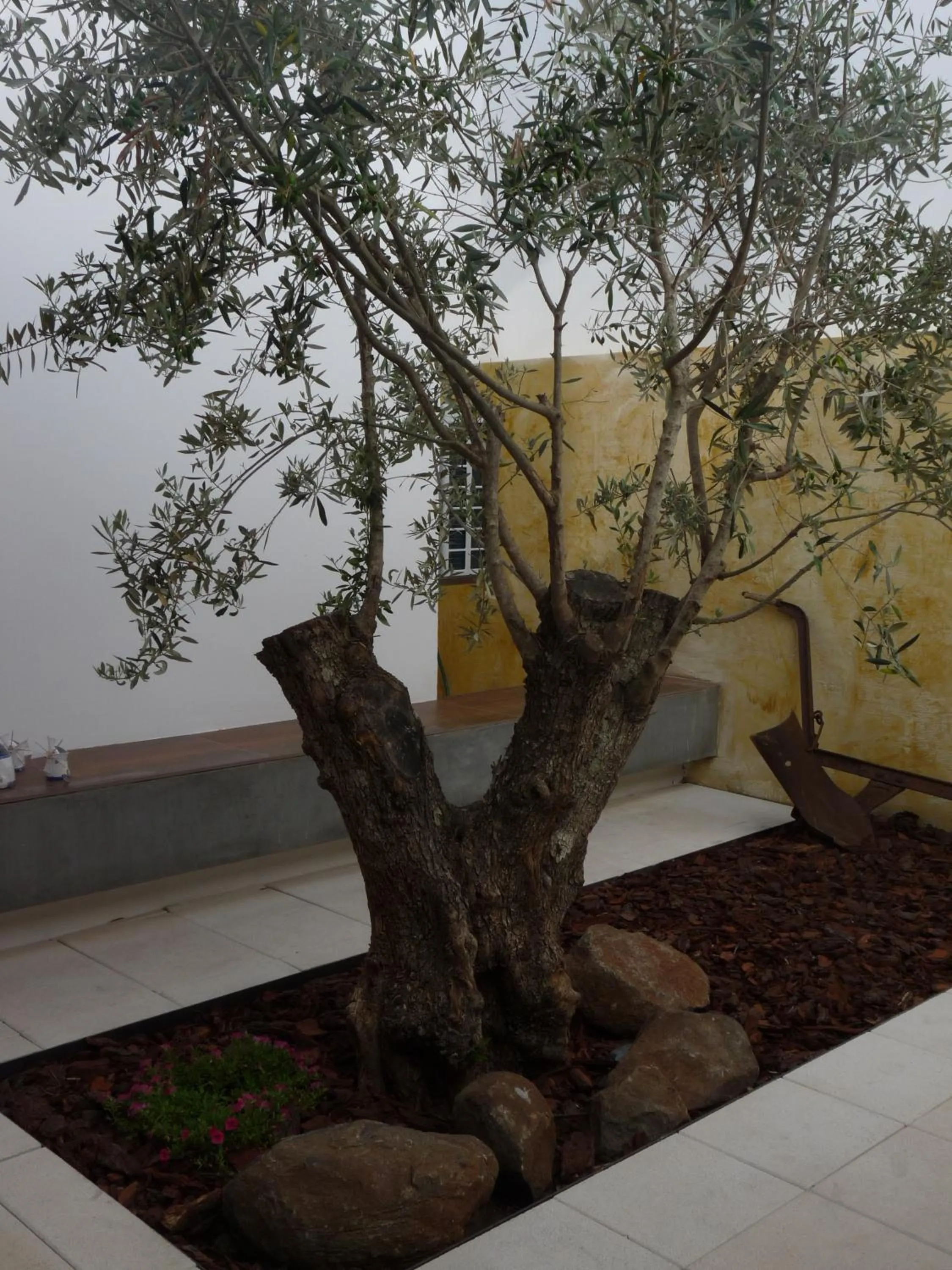 Area and facilities in Born To Stay In Milfontes