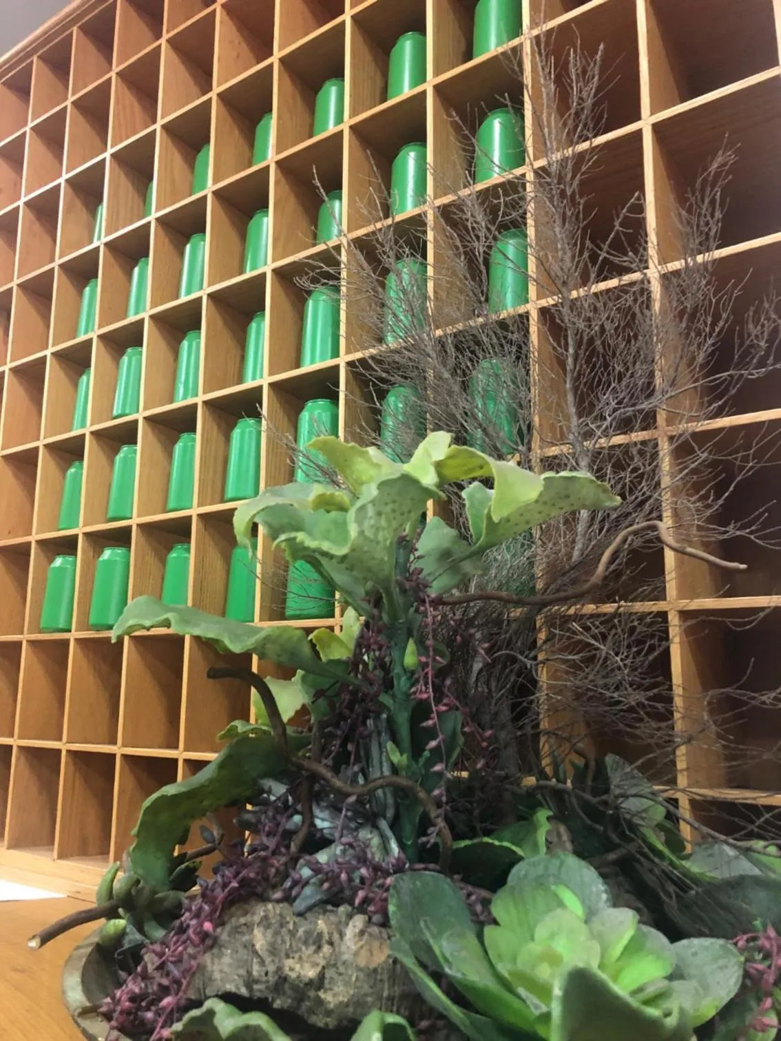 Apartamentos Bahia Playa