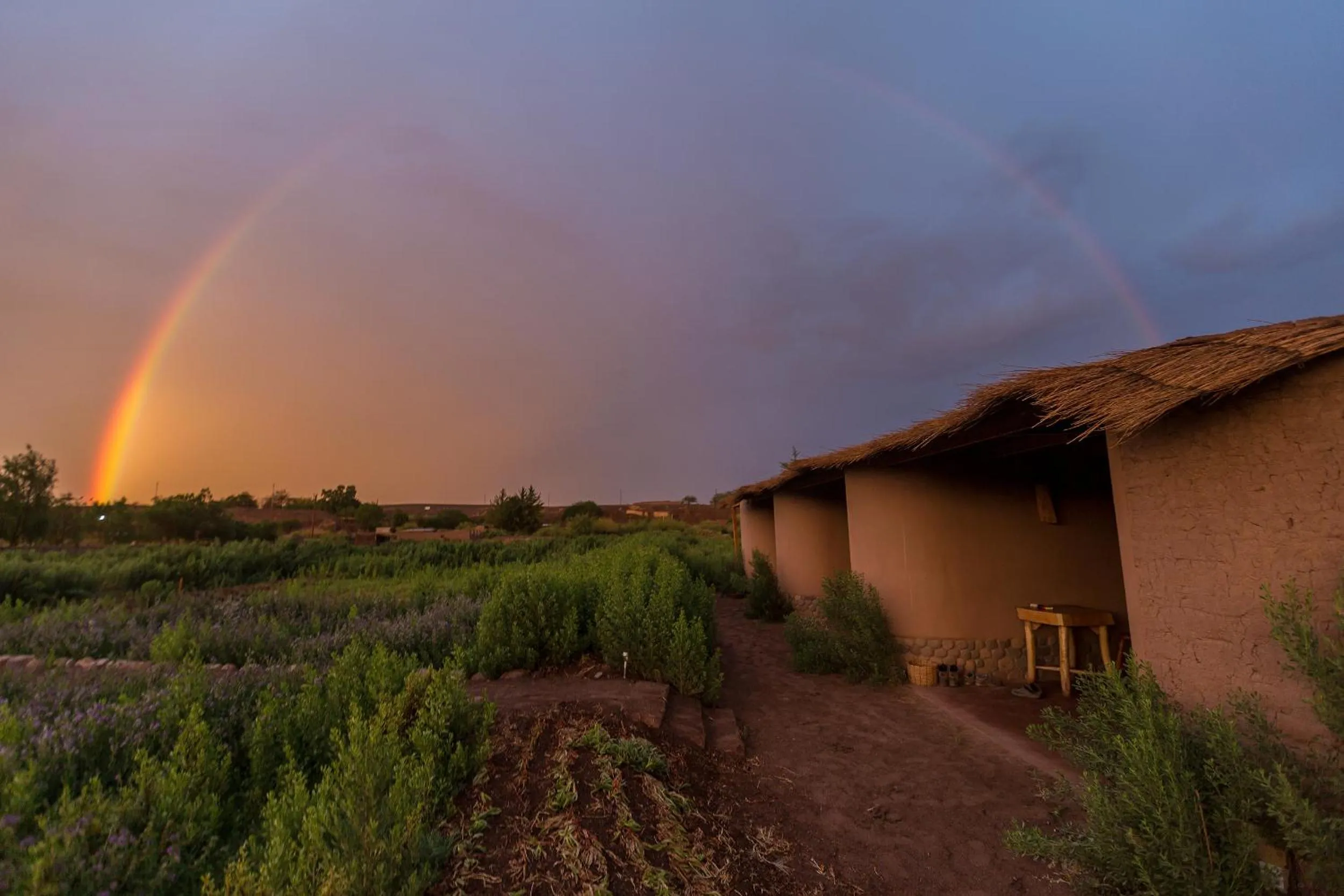 Balcony/Terrace in Eco-Lodge El Andinista