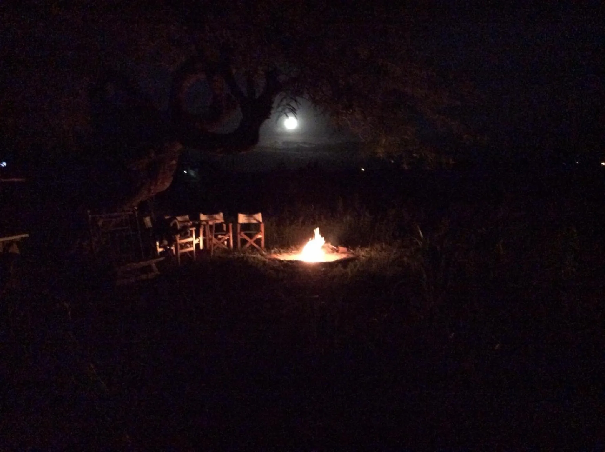 Other in Eco-Lodge El Andinista