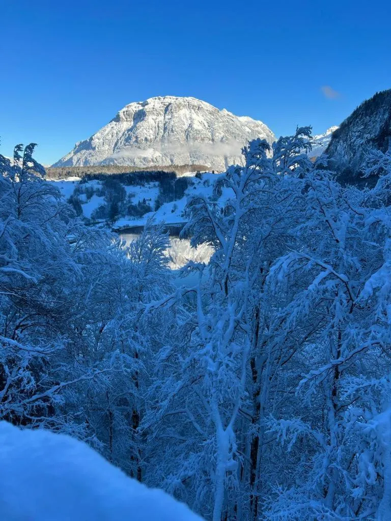 Property building in Hotel und Naturhaus Bellevue