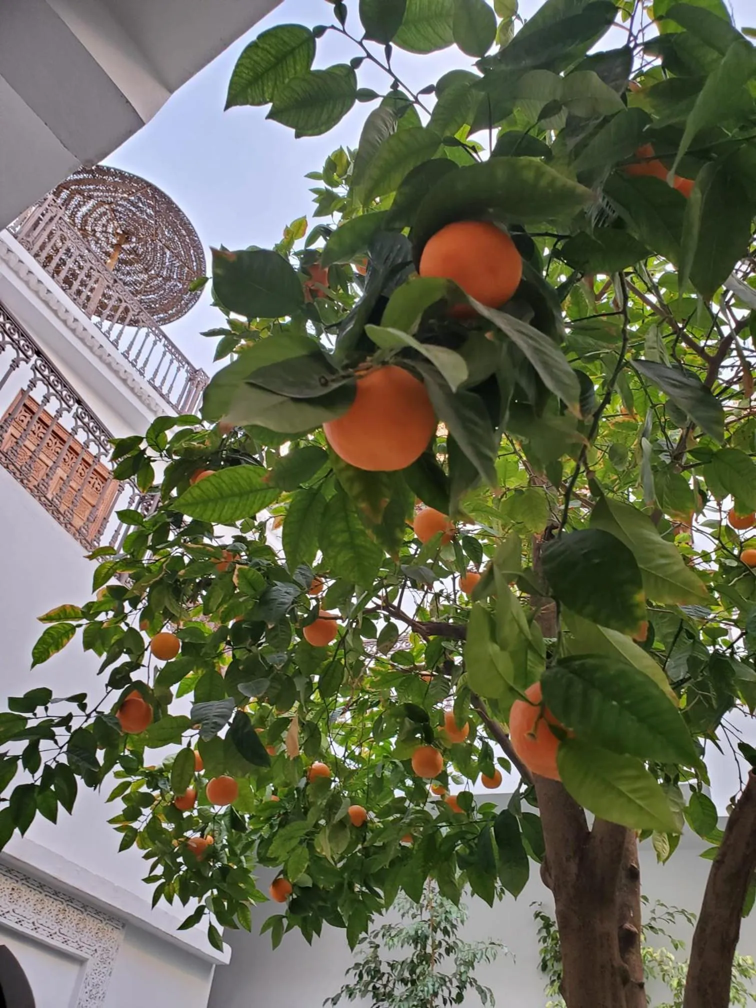 Inner courtyard view in Riad Yamina52