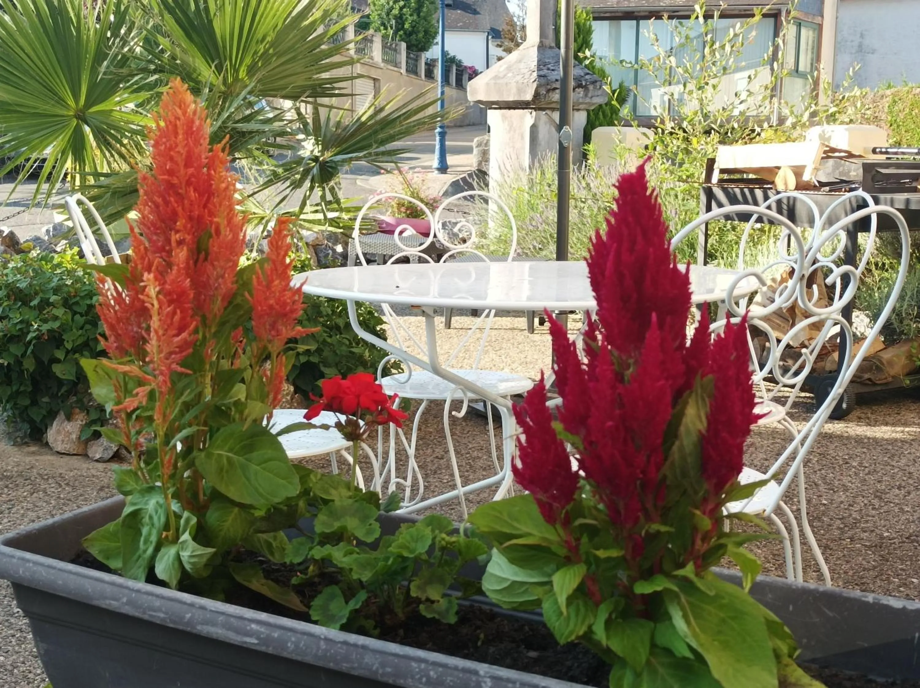 Day in L' Auberge Campagnarde, Lourdes