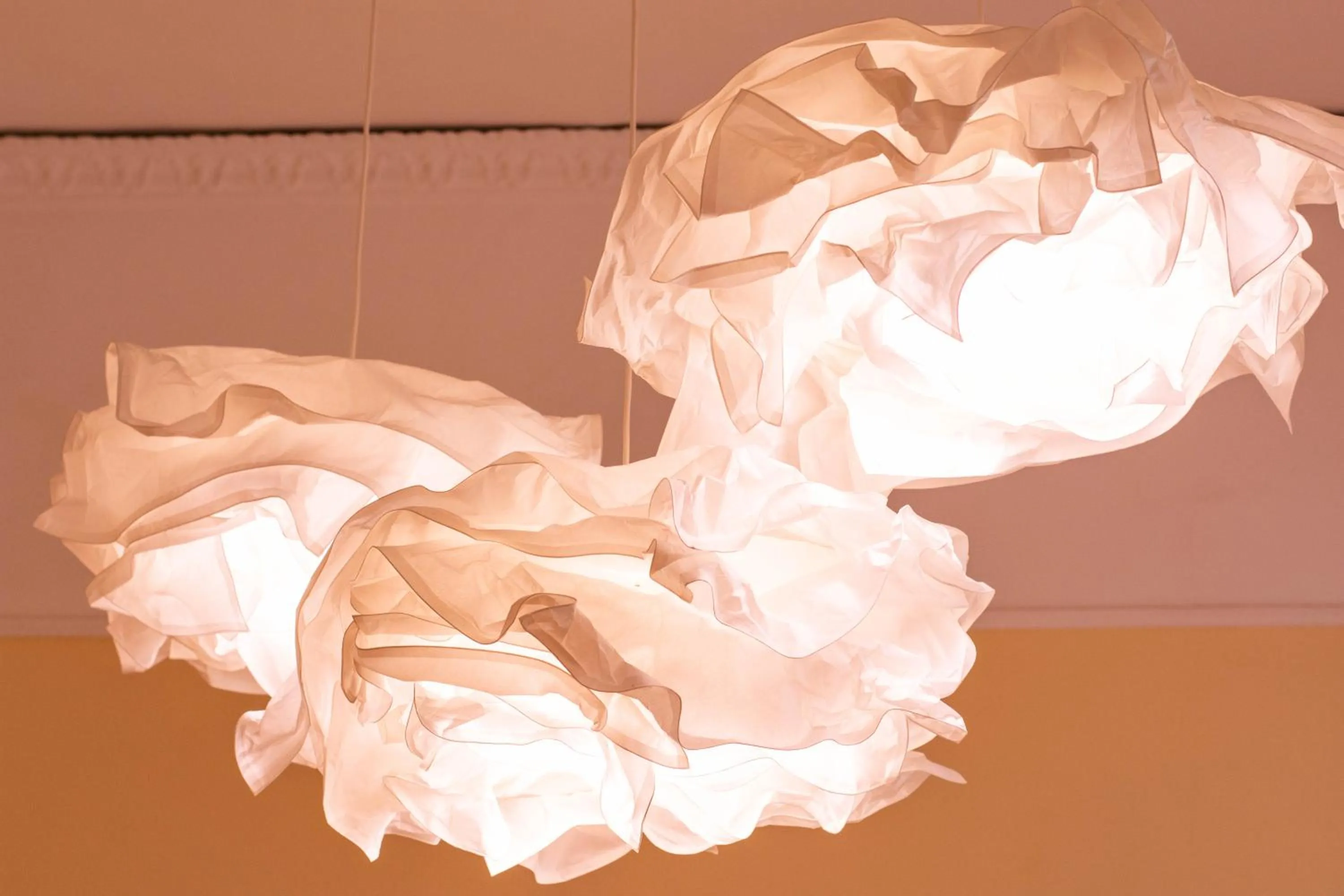 Photo of the whole room in Areamare