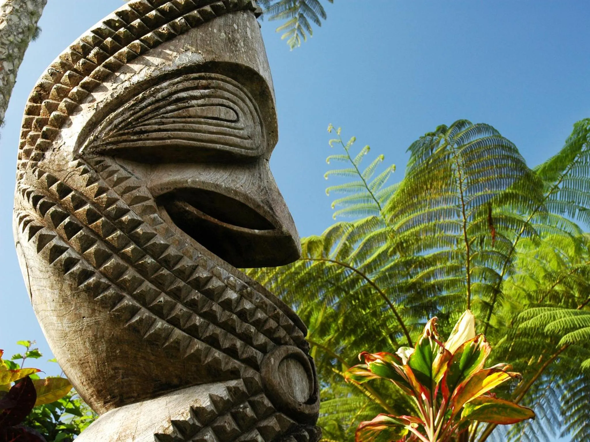 Area and facilities in Beachfront Resort