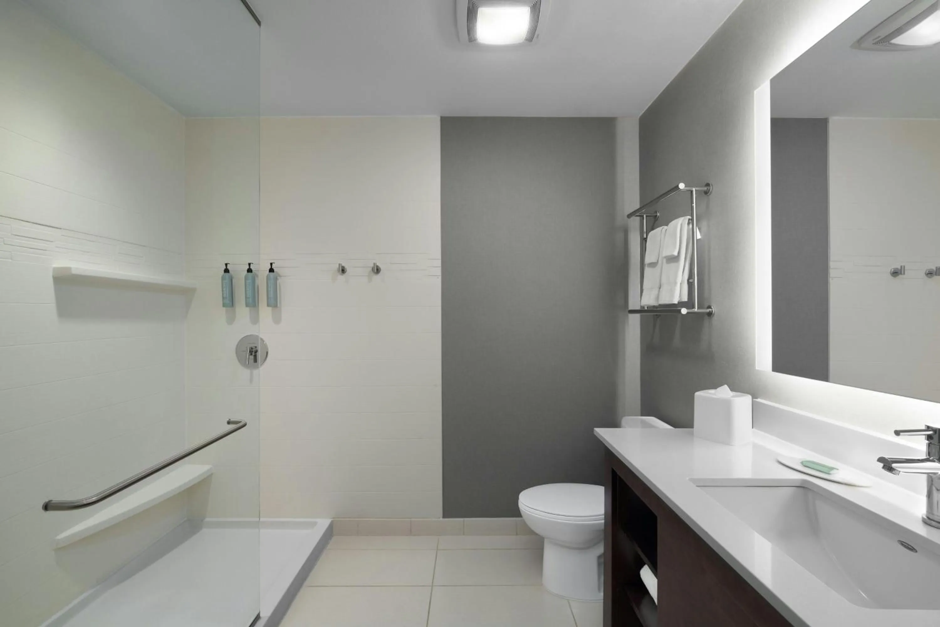 Bathroom in Residence Inn by Marriott Des Moines Downtown