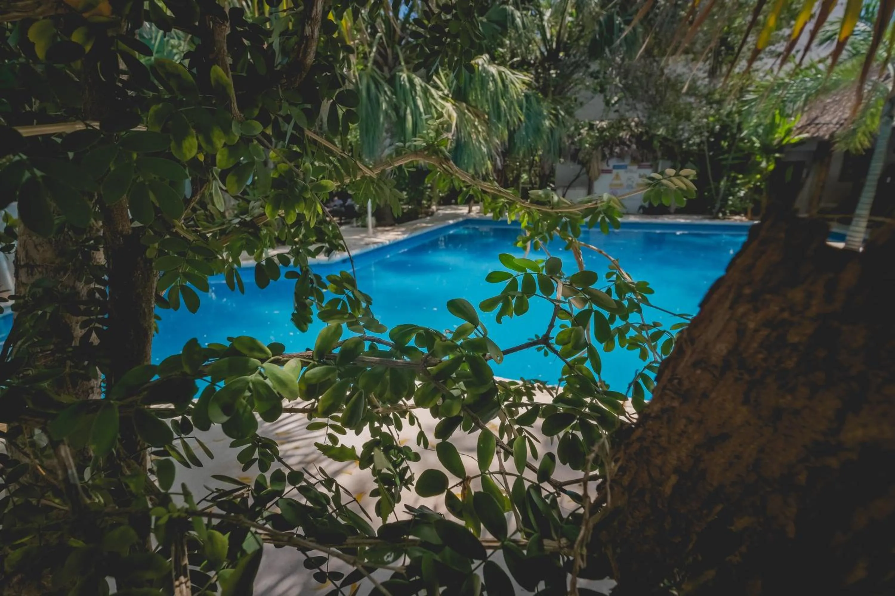 Garden view in Sotavento Hotel & Yacht Club