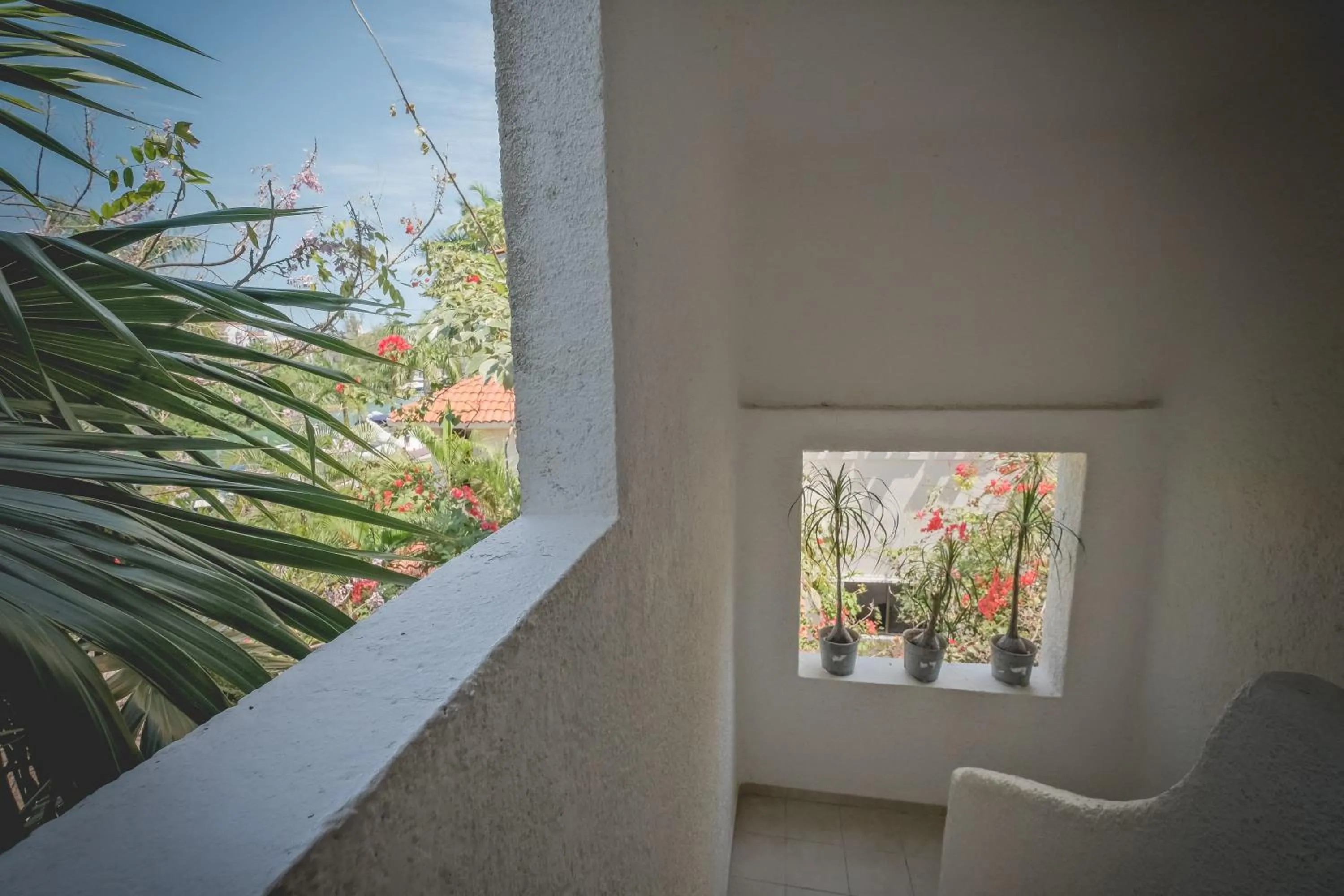 View (from property/room) in Sotavento Hotel & Yacht Club