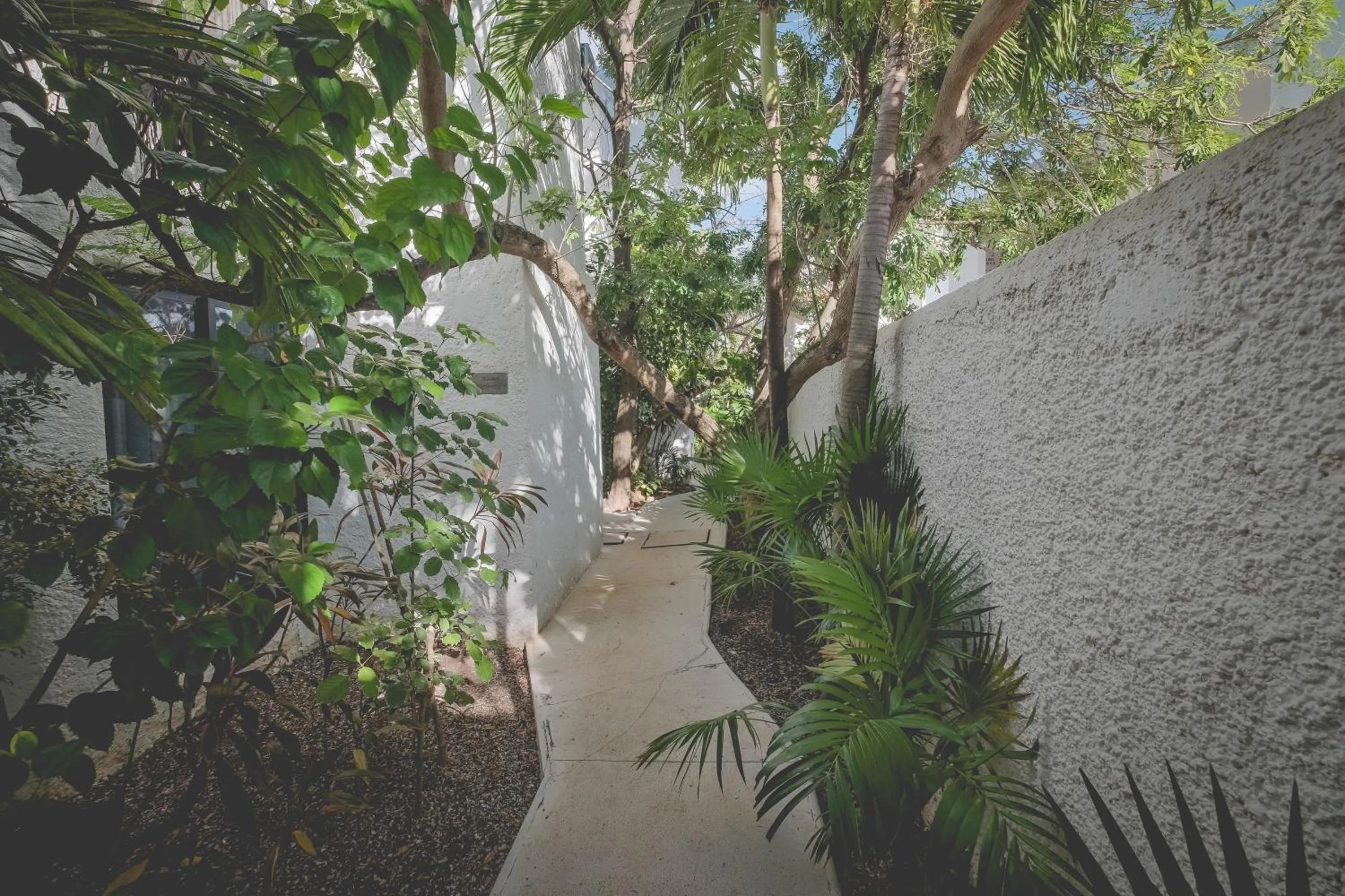 Garden in Sotavento Hotel & Yacht Club