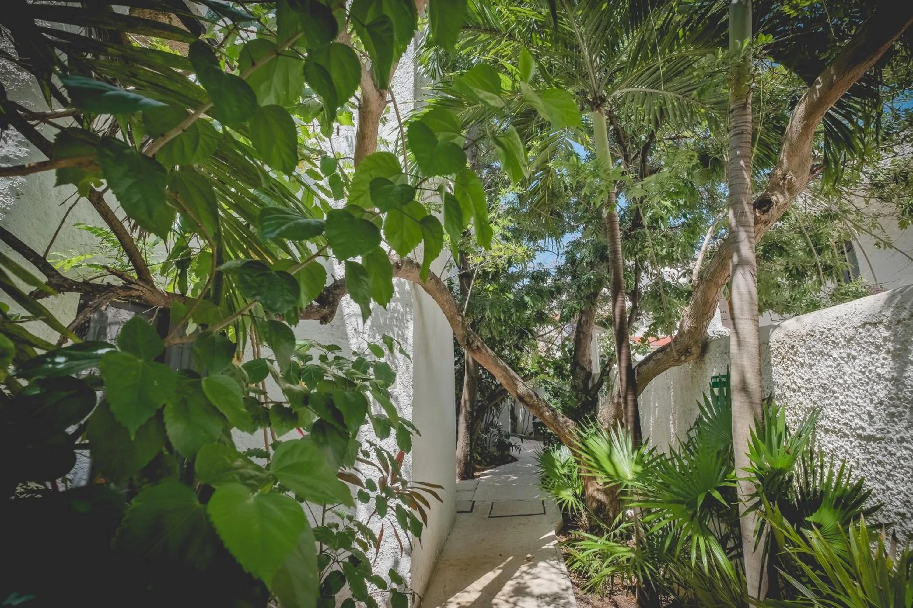 Garden view in Sotavento Hotel & Yacht Club