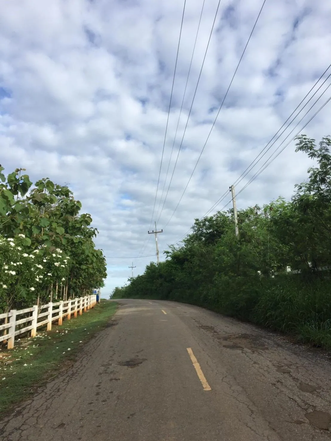 Jardin De Mangue Pakchong