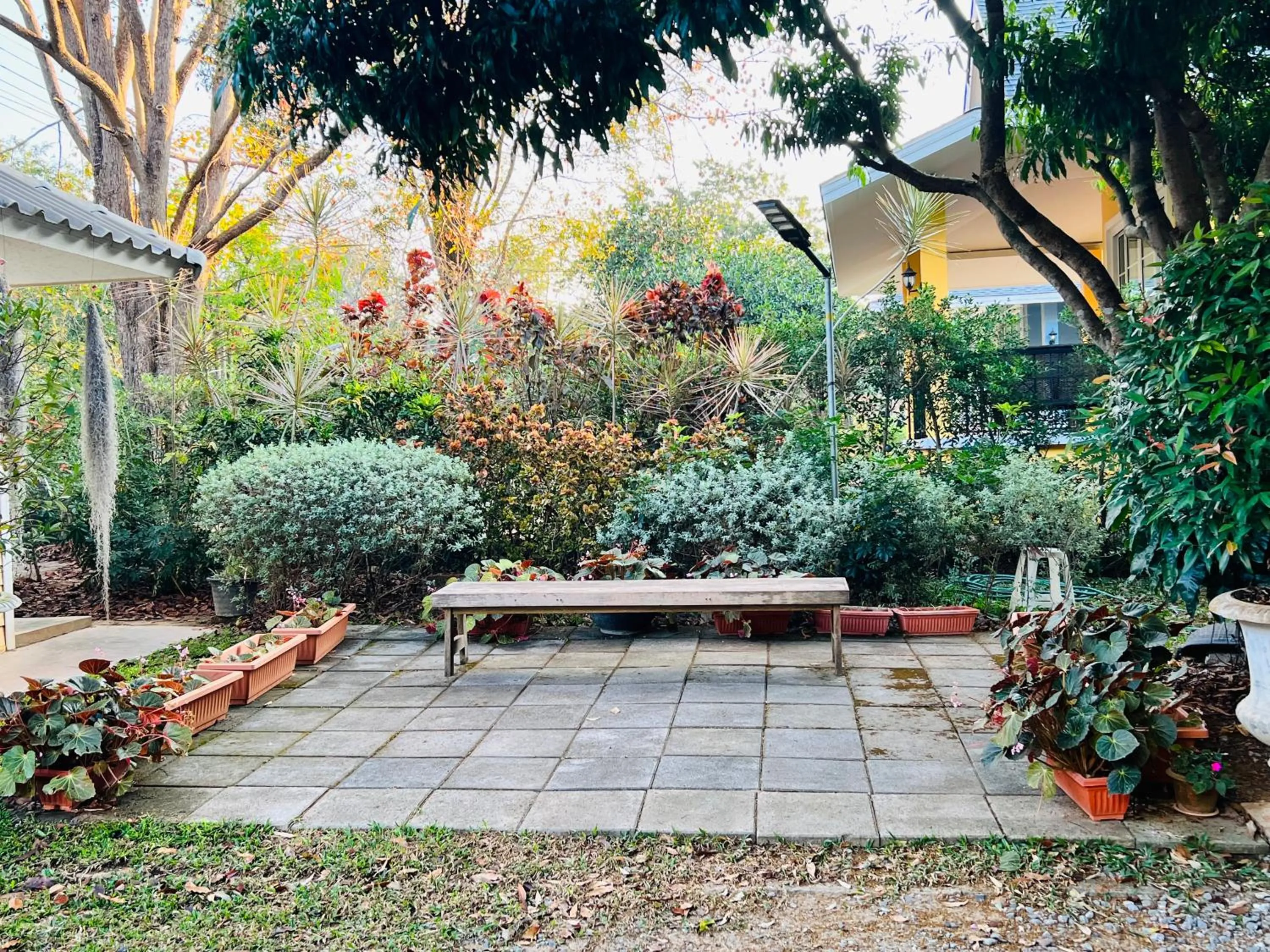 Jardin De Mangue Pakchong