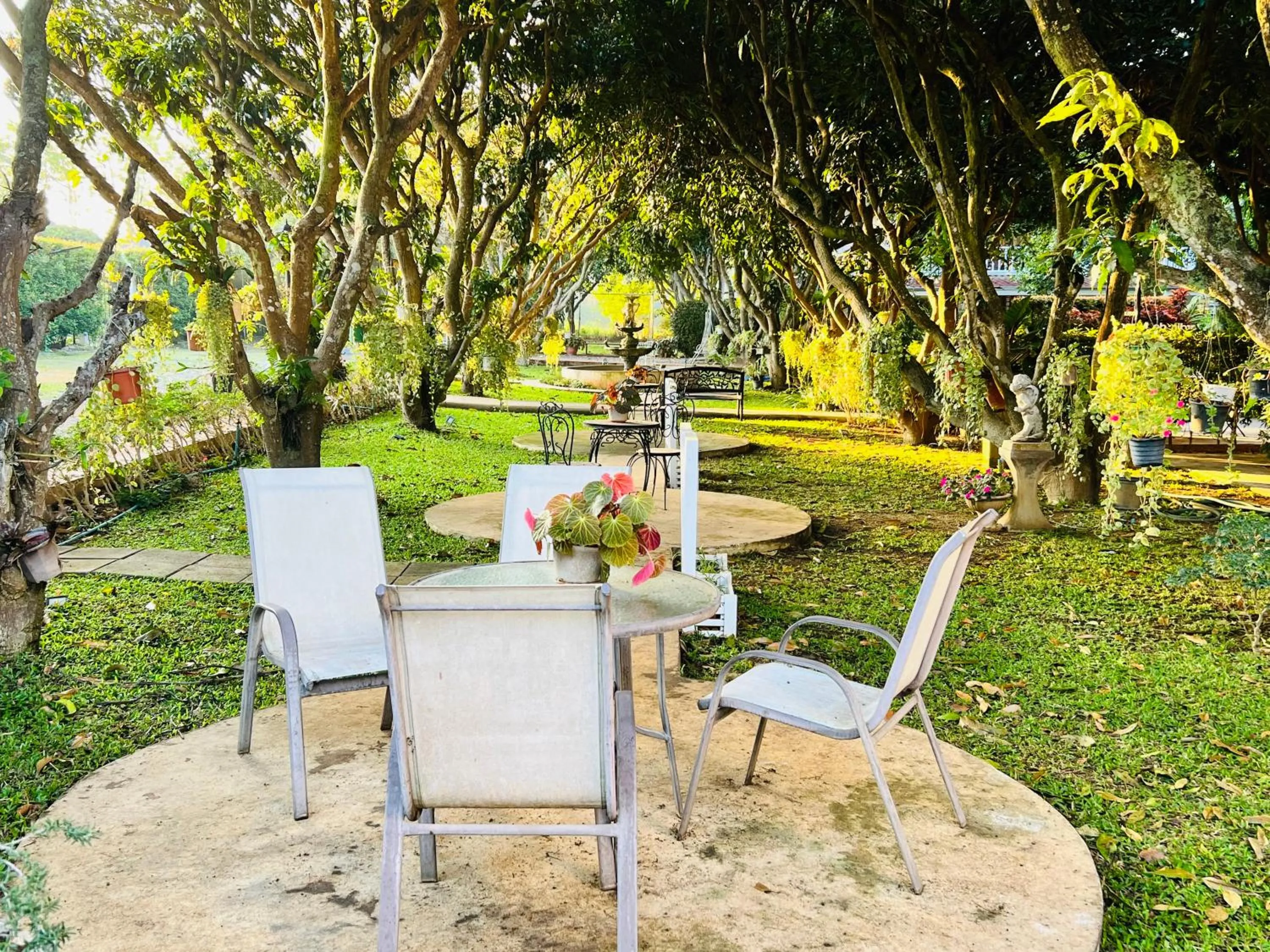 Jardin De Mangue Pakchong