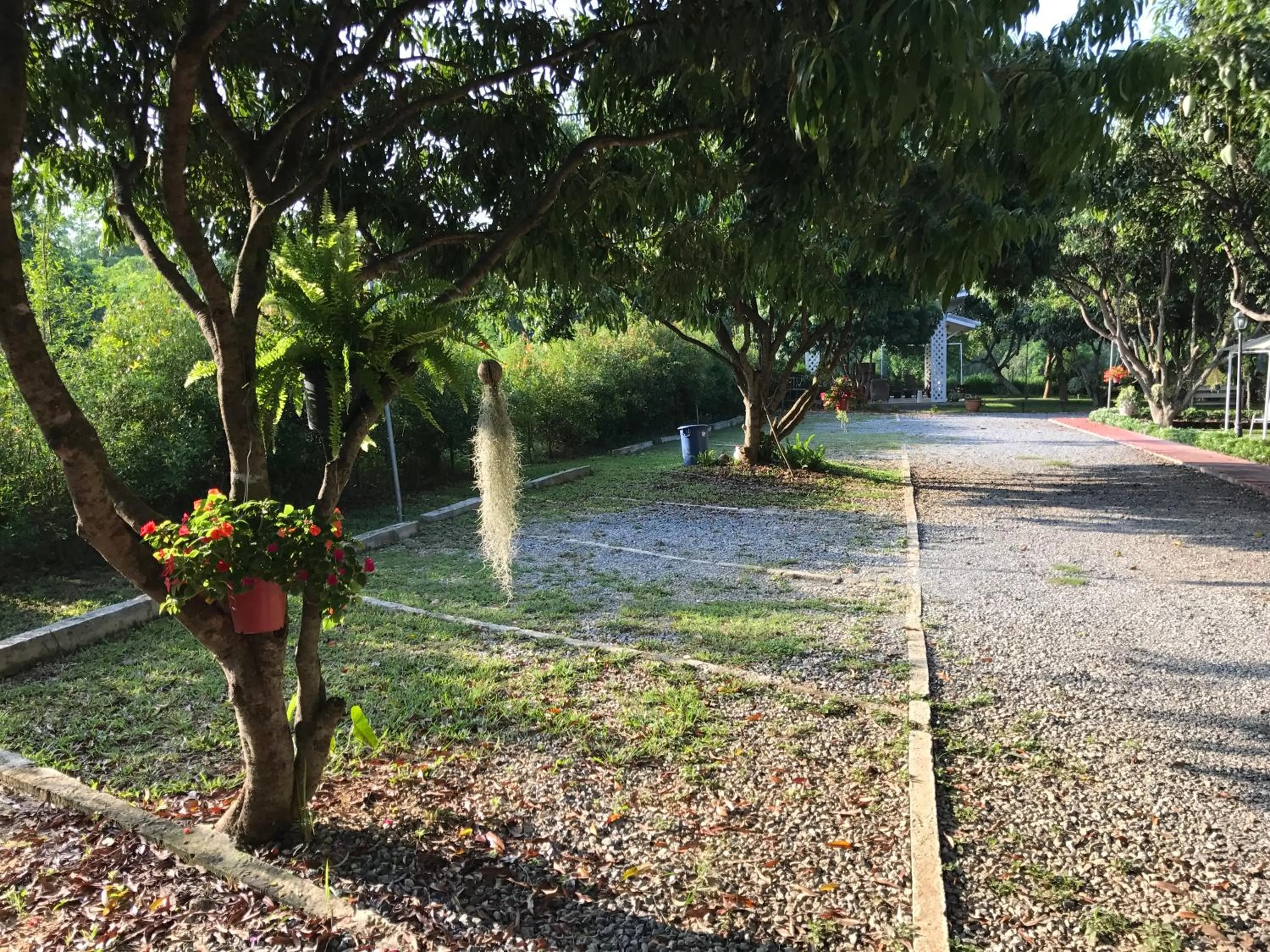 Jardin De Mangue Pakchong