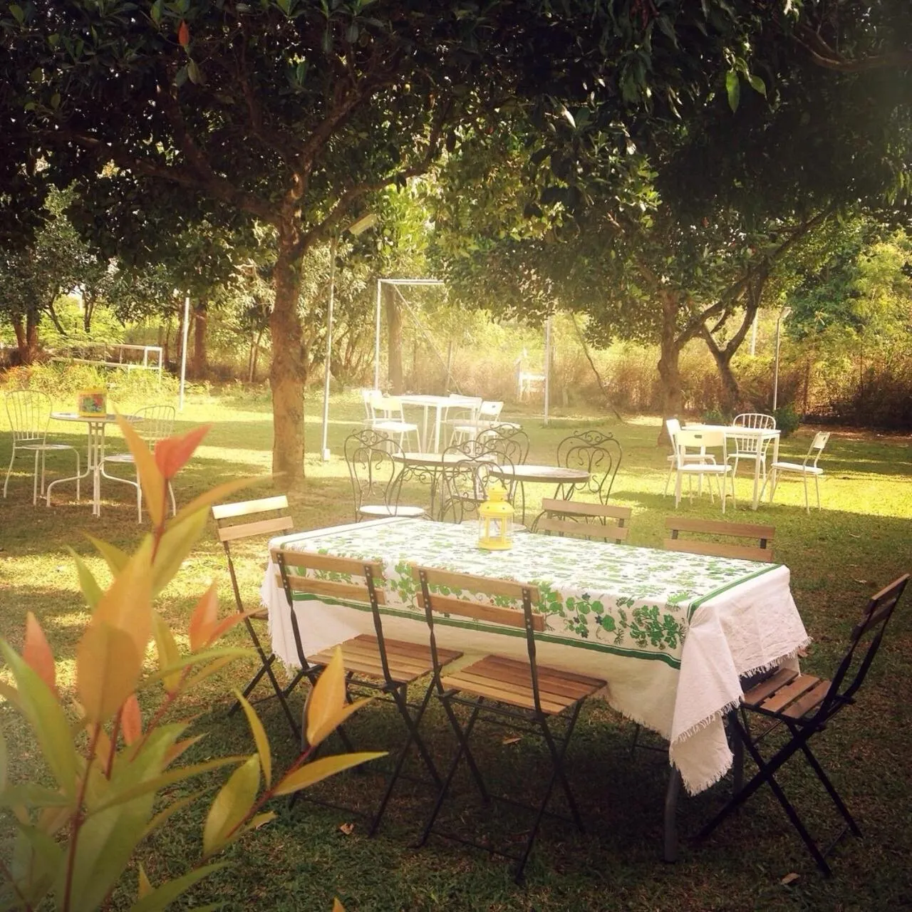 Jardin De Mangue Pakchong