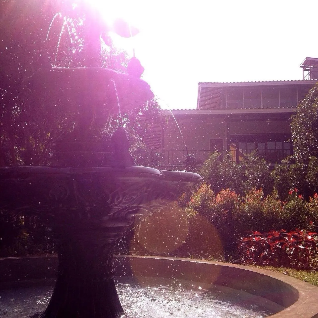 Jardin De Mangue Pakchong