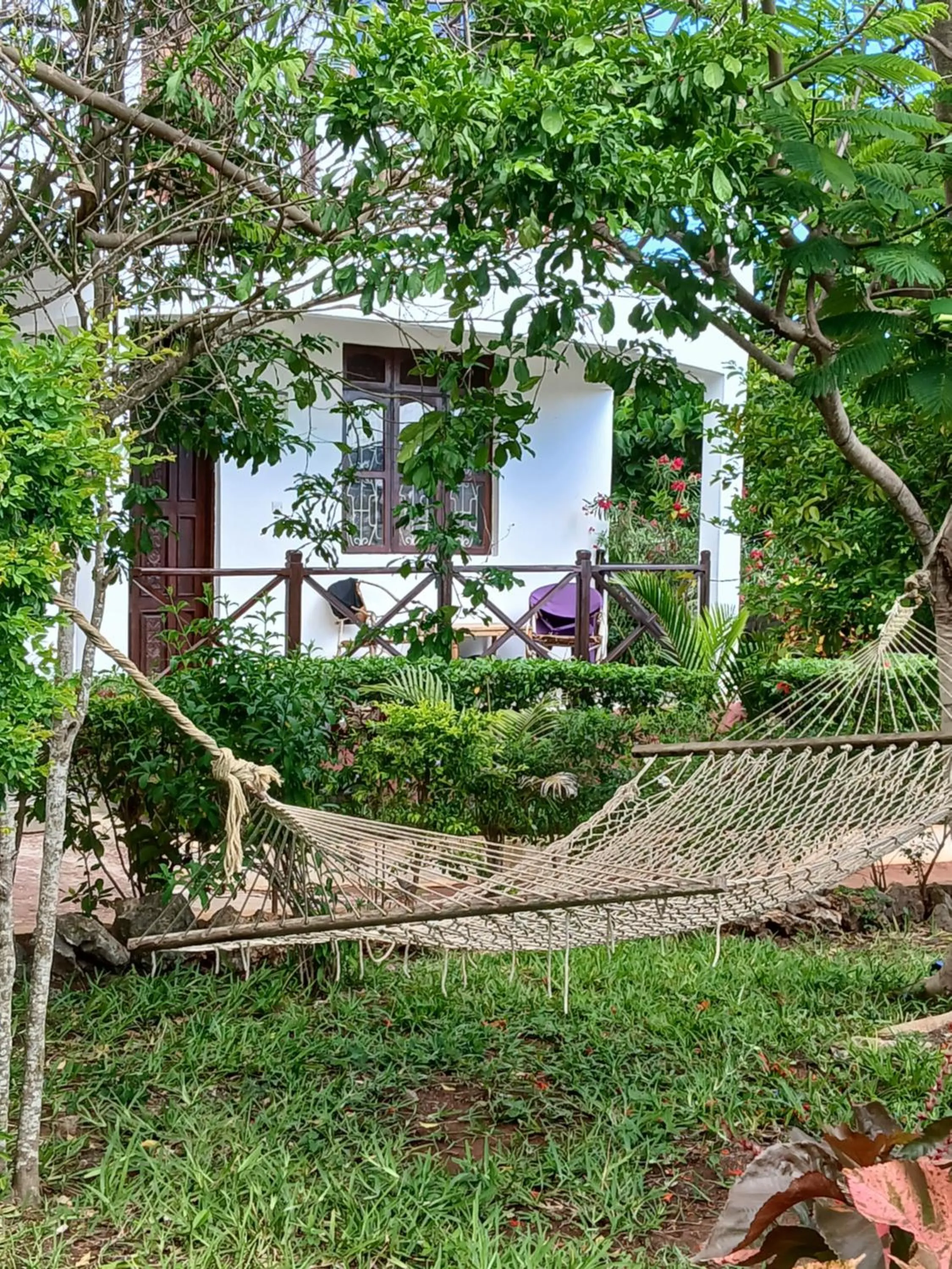 Garden in Majani Breeze