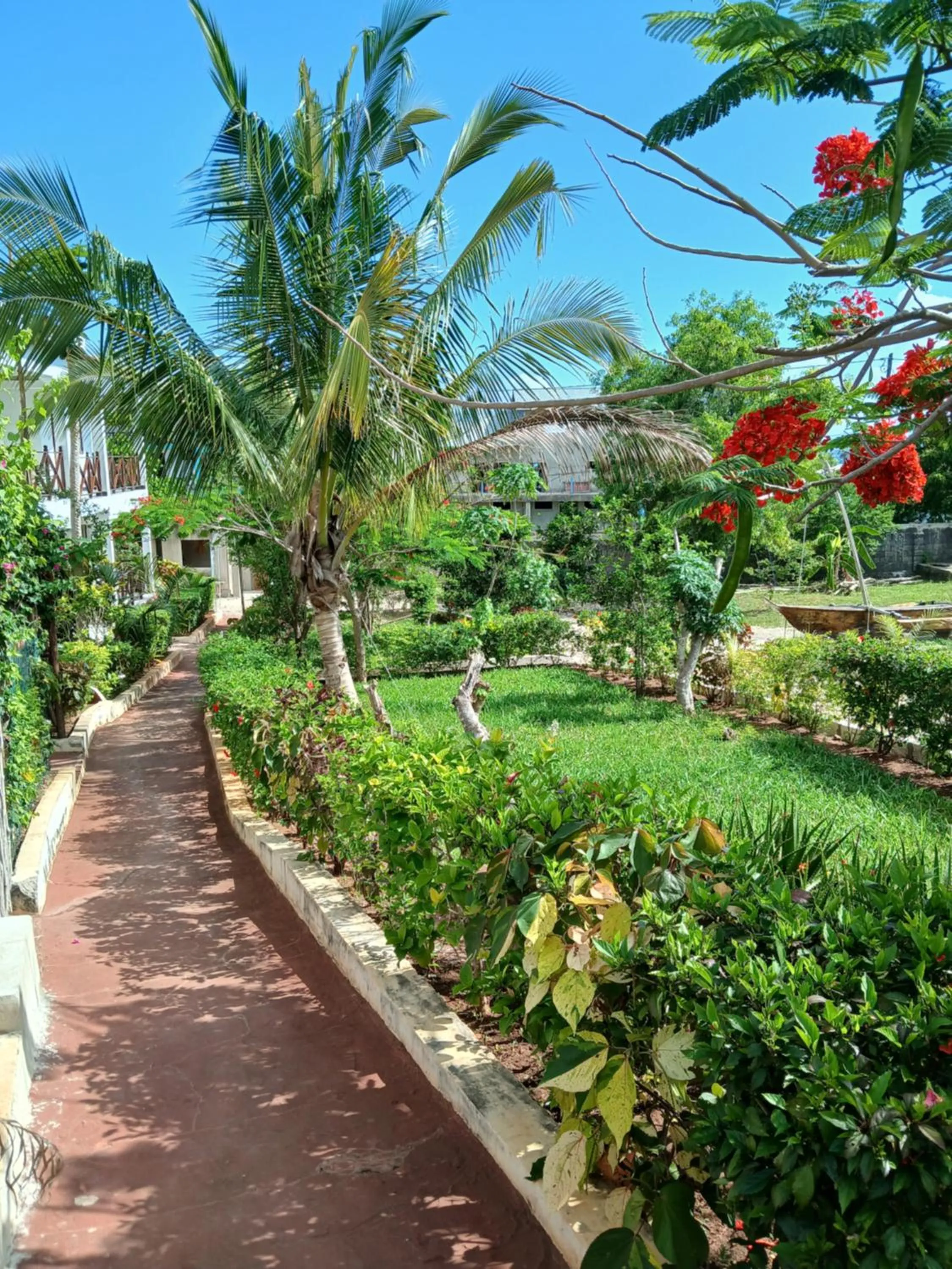 Garden in Majani Breeze