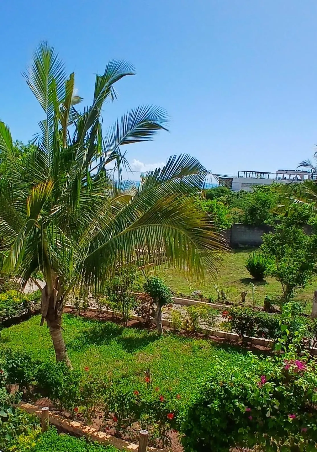 Garden in Majani Breeze