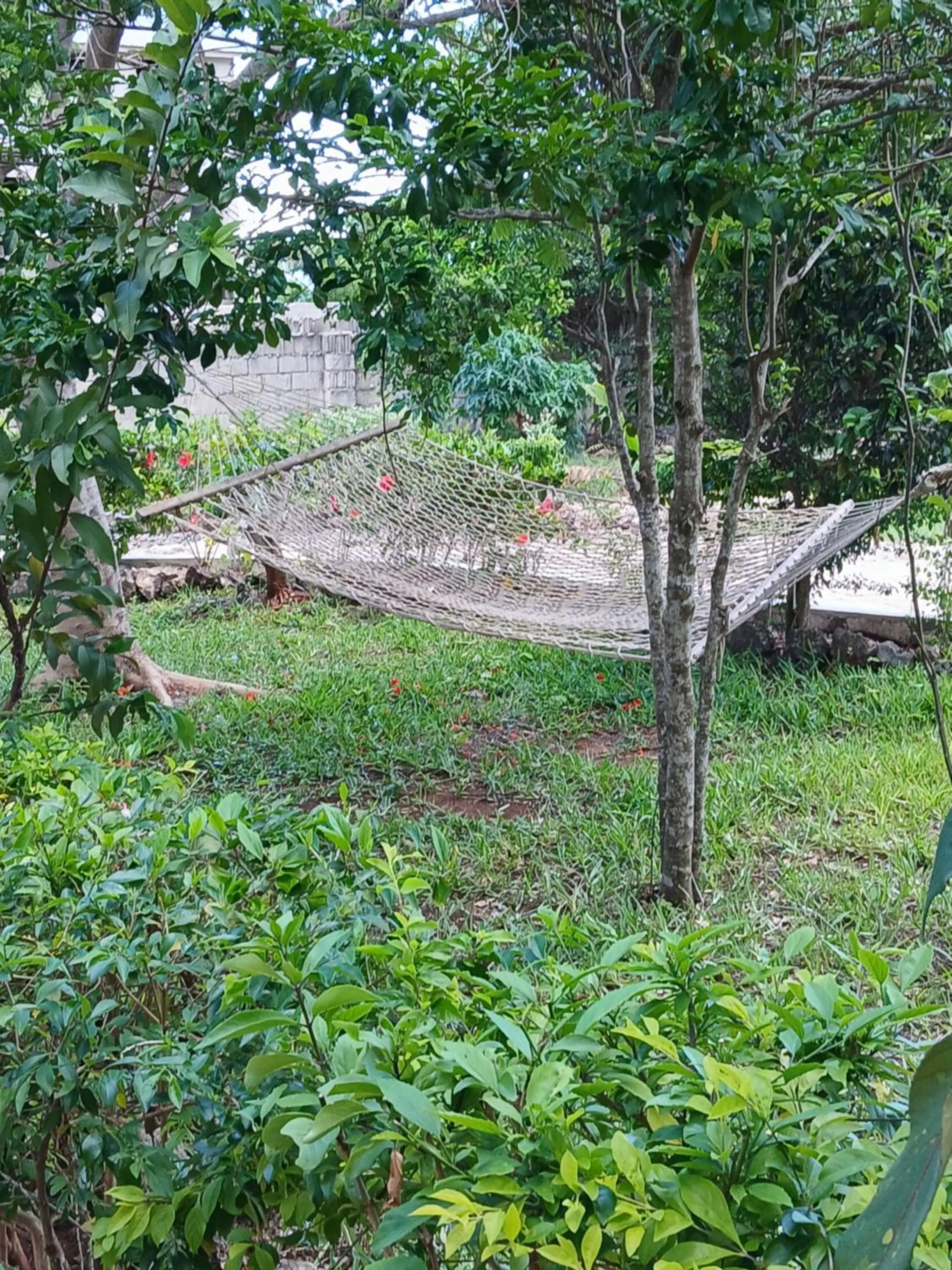 Garden in Majani Breeze