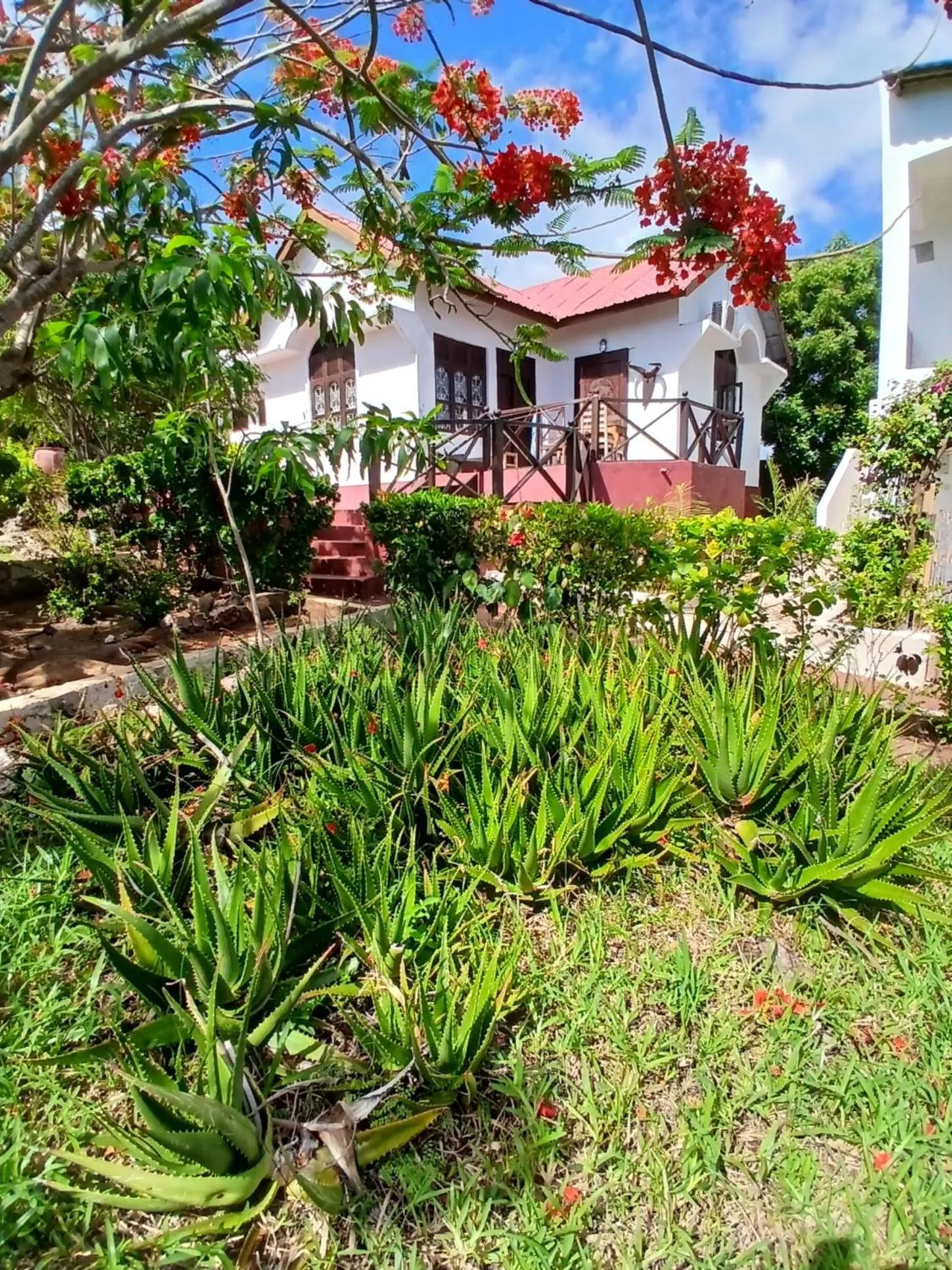 Property building in Majani Breeze