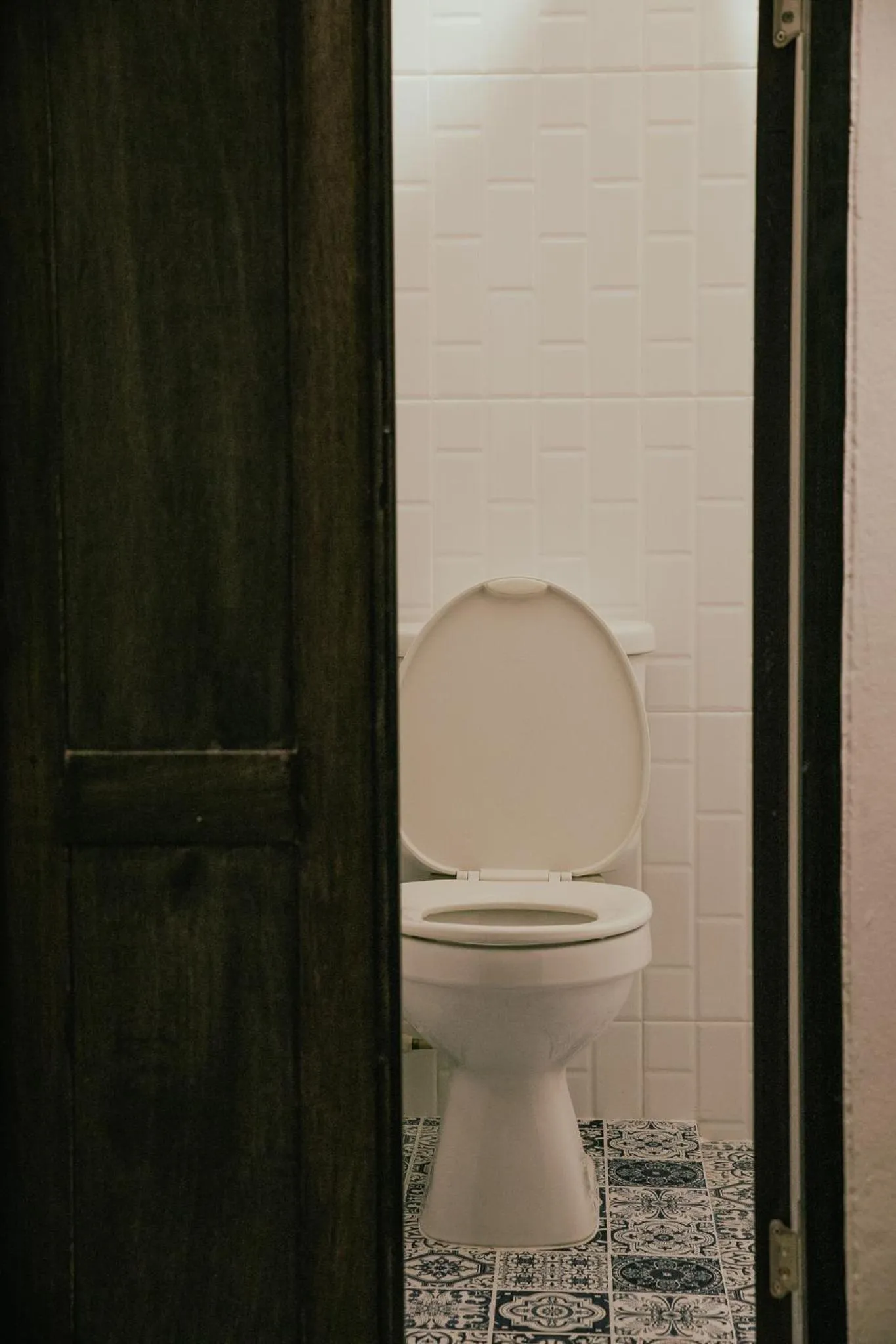 Toilet in Tim Mansion