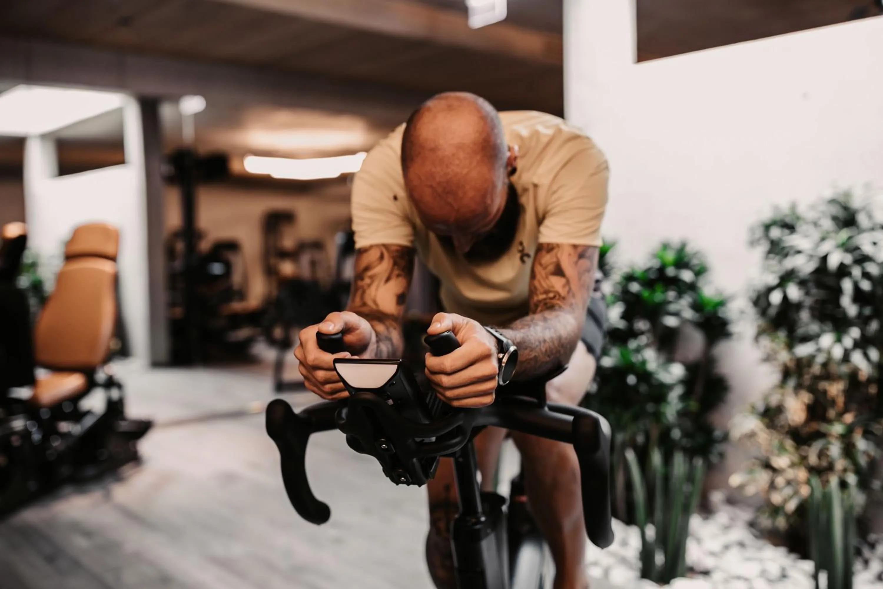 Activities in Aparthotel Rubinius