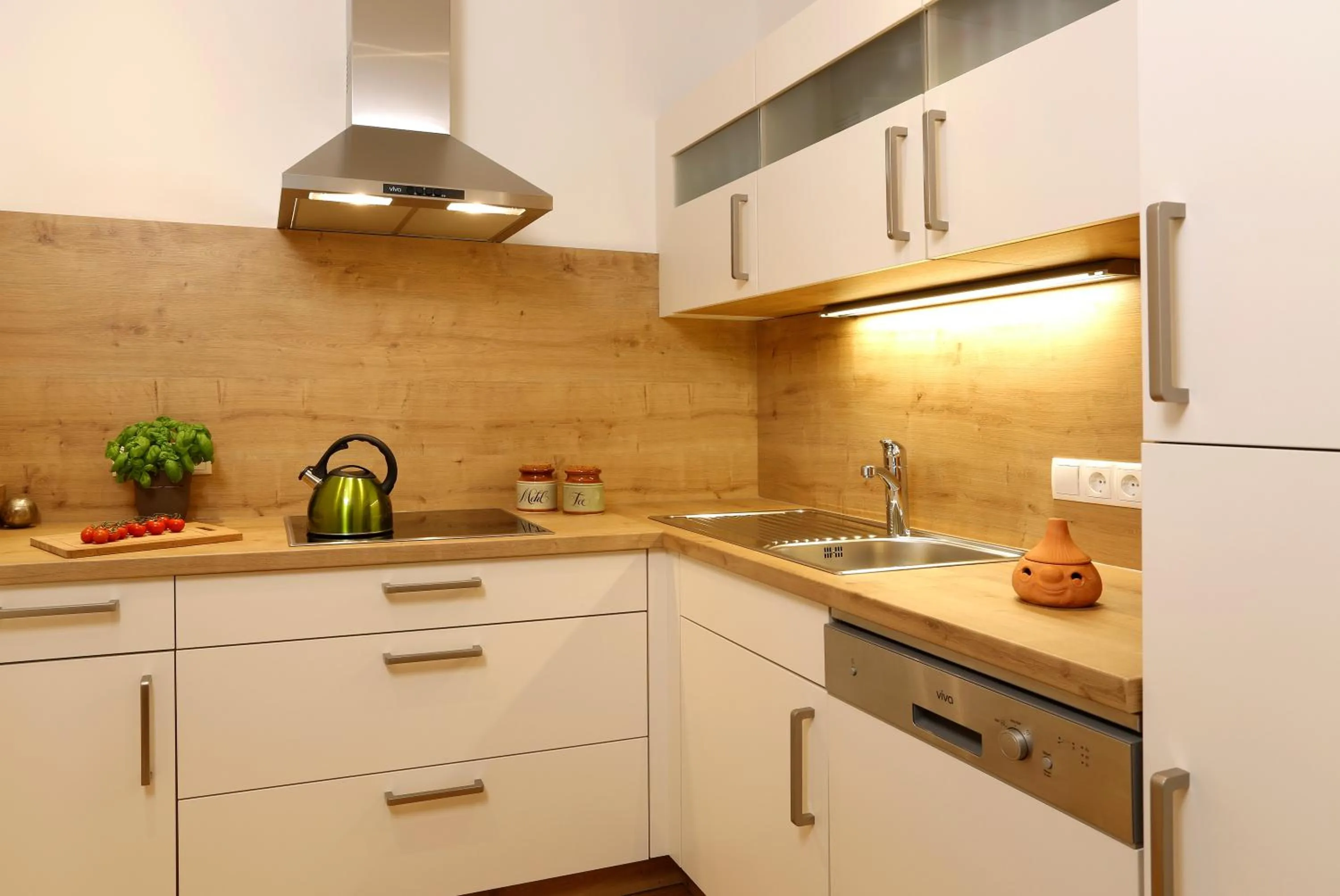 Kitchen or kitchenette in Aparthotel Rubinius