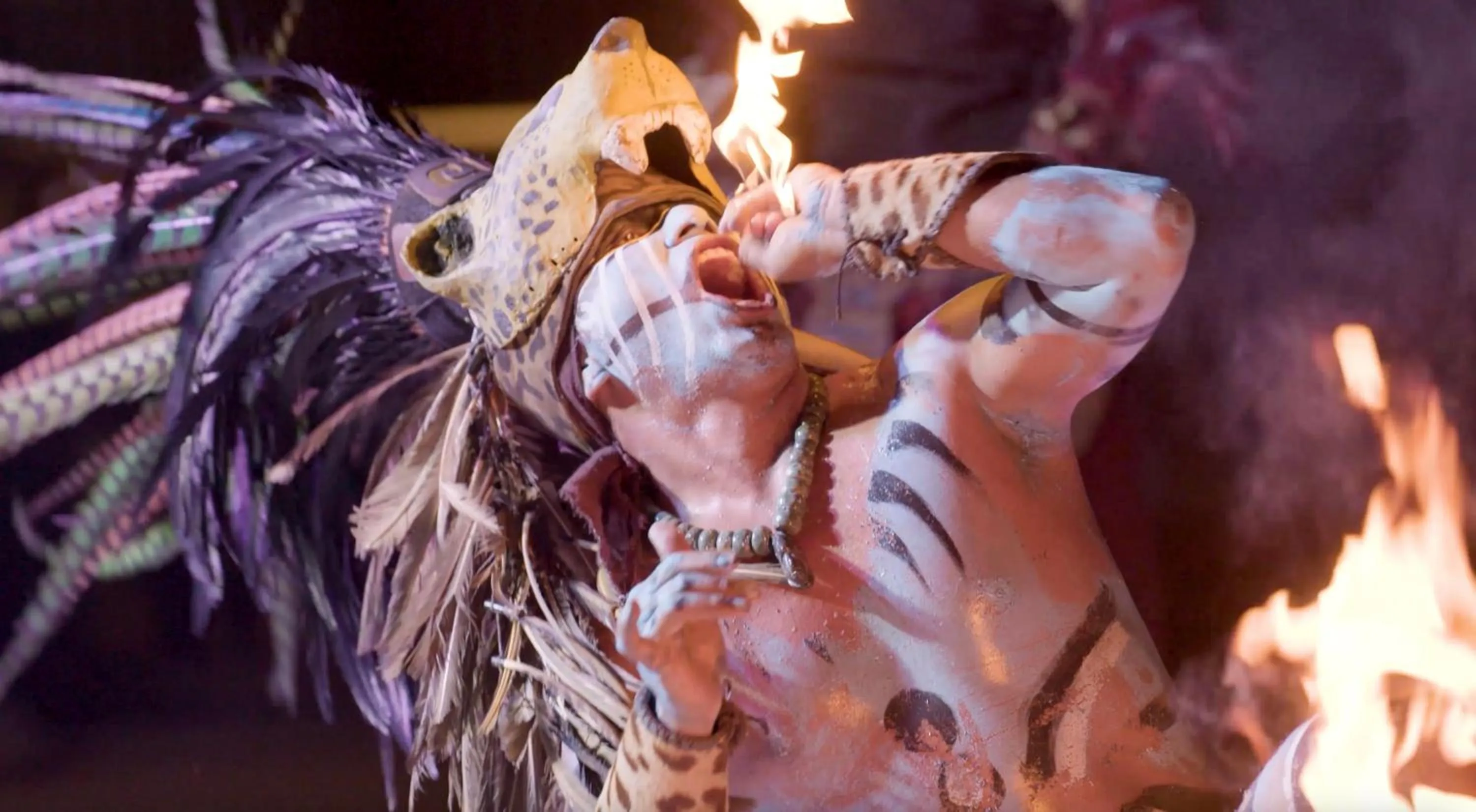 Activities in Cozumel Palace-All Inclusive