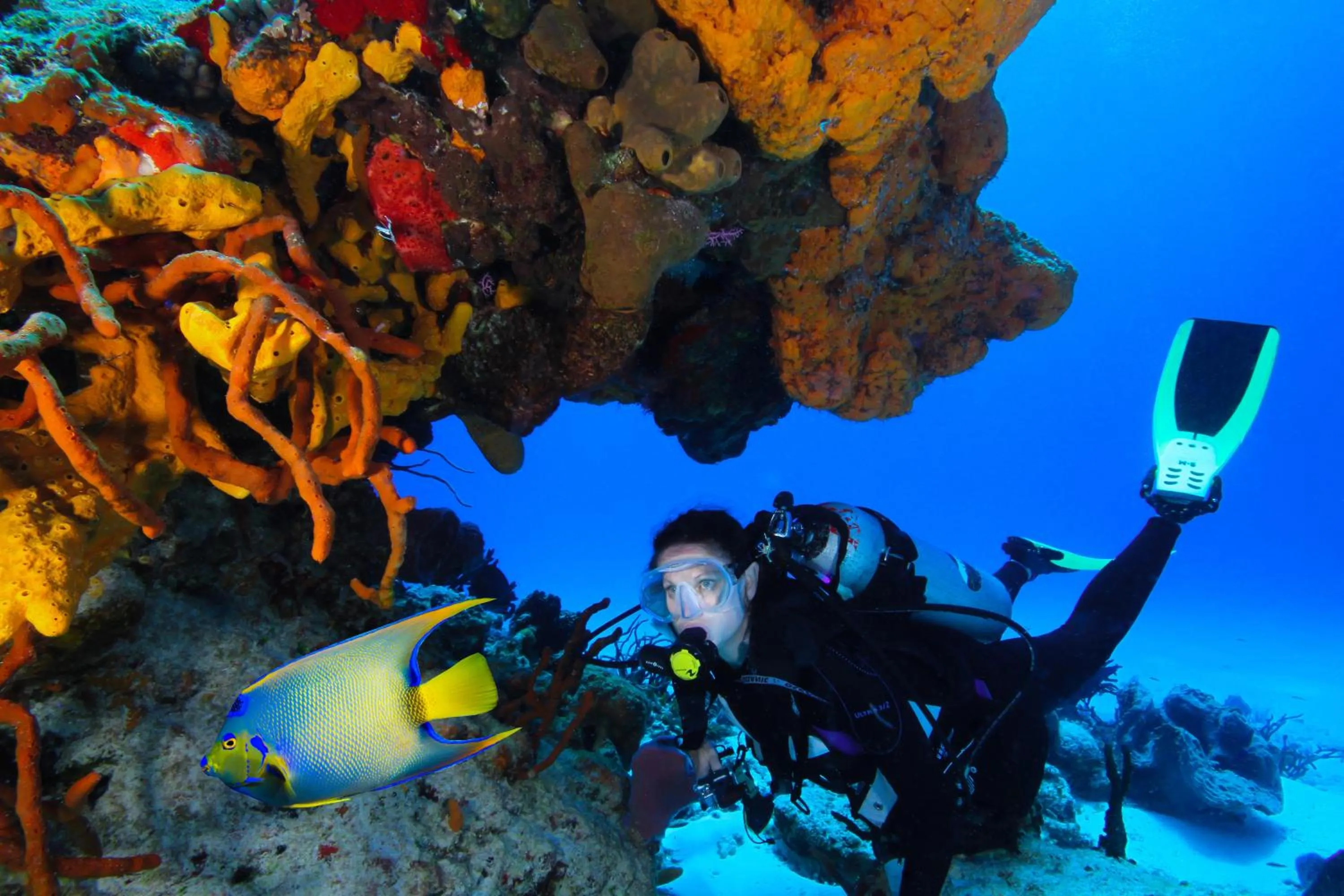 Activities in Cozumel Palace-All Inclusive