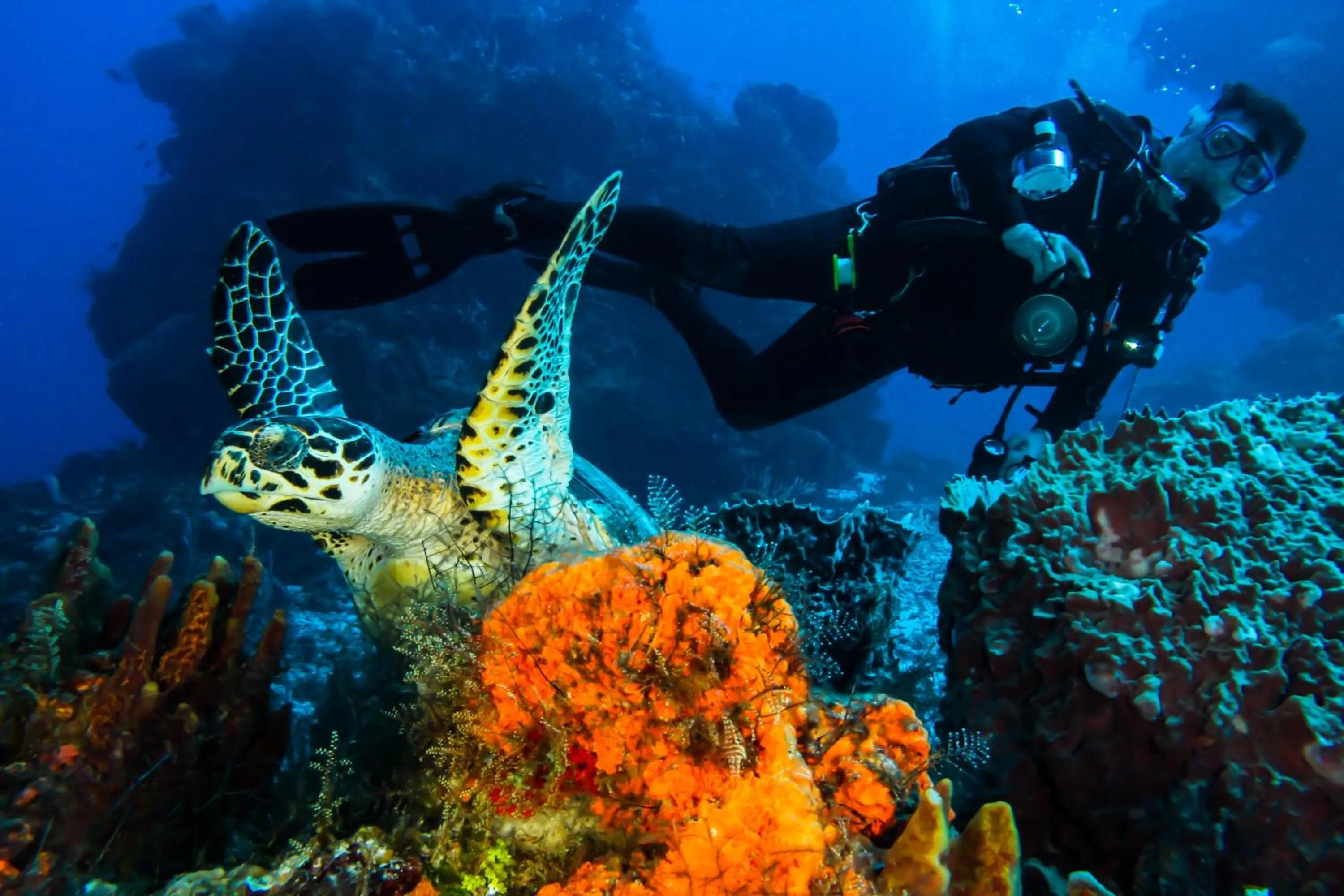 Activities in Cozumel Palace-All Inclusive